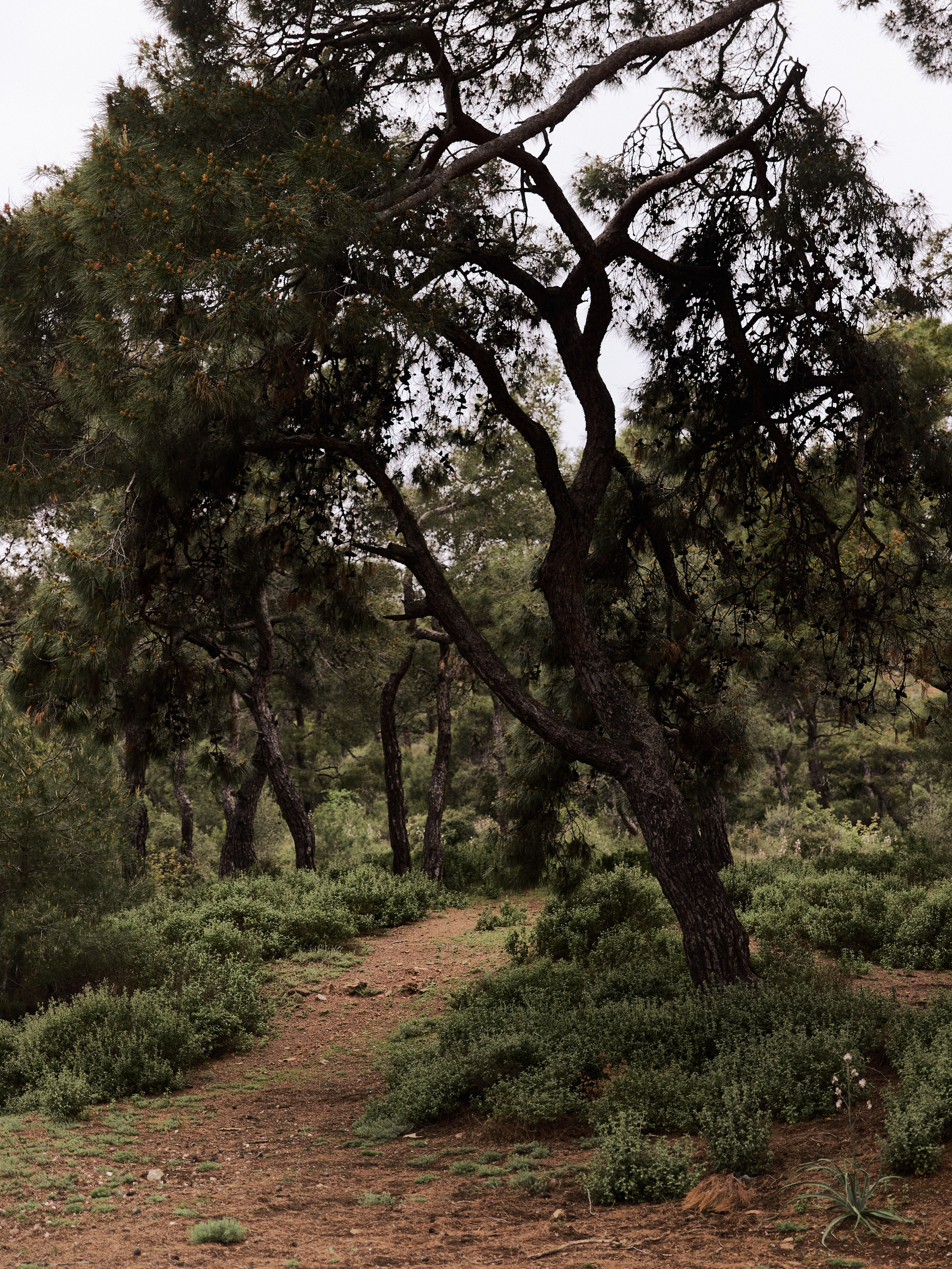 Улицы. Jorgis Talè — photographer, kind person, teacher of arts and other mag