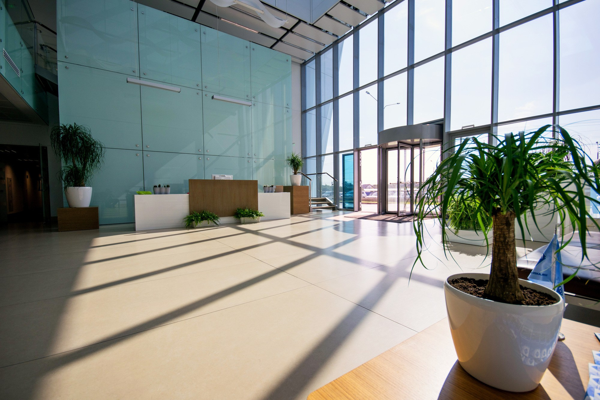 Корпоративная съемка. Антон и Татьяна Денисенко