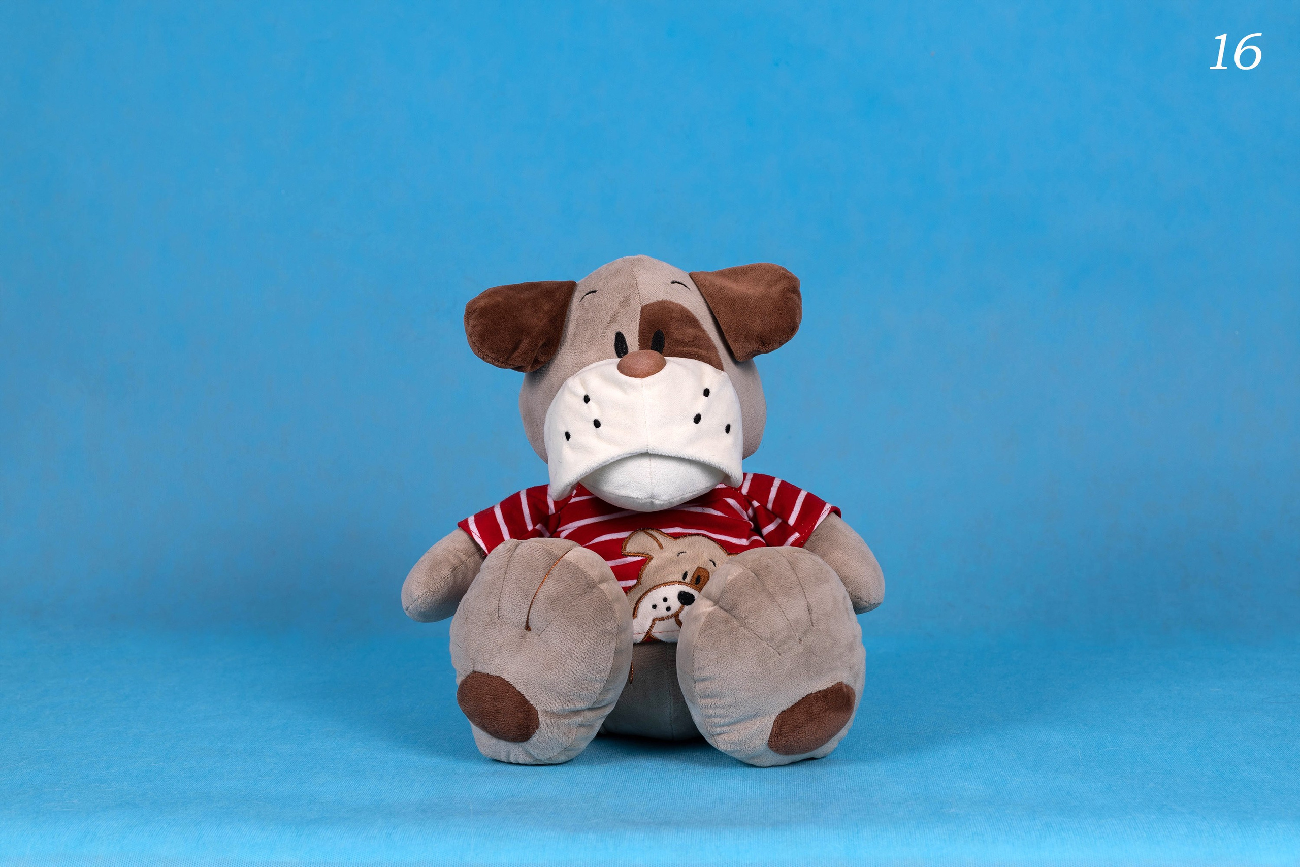 Фоны. Фотограф-анималист в Омске Екатерина Маричева