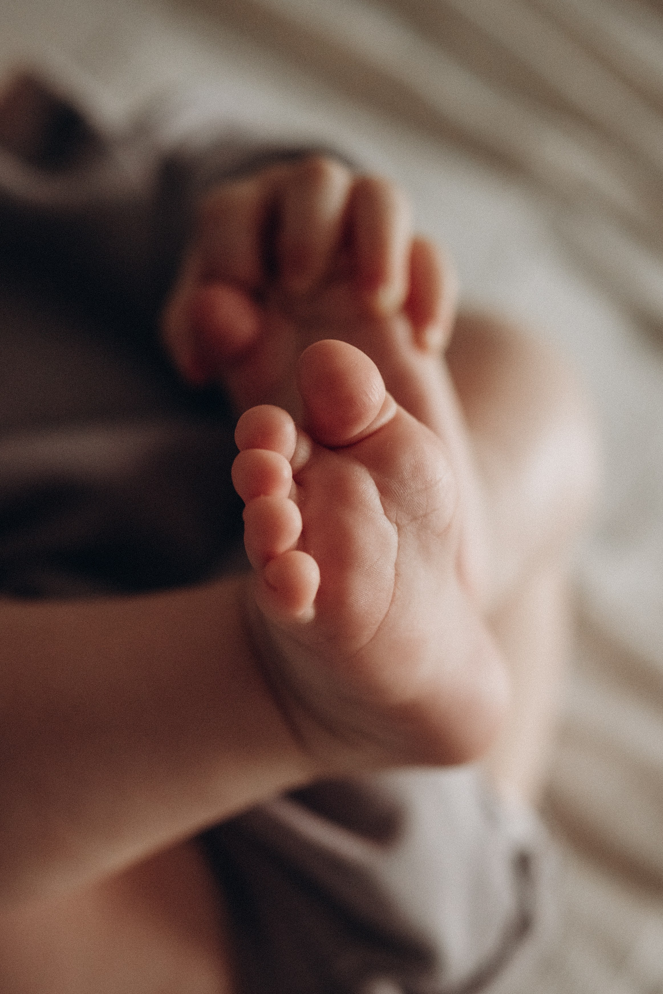 Семейный фотограф в Москве и Красногорске. Женский и семейный фотограф в Москве и Красногорске Светлана Левченко