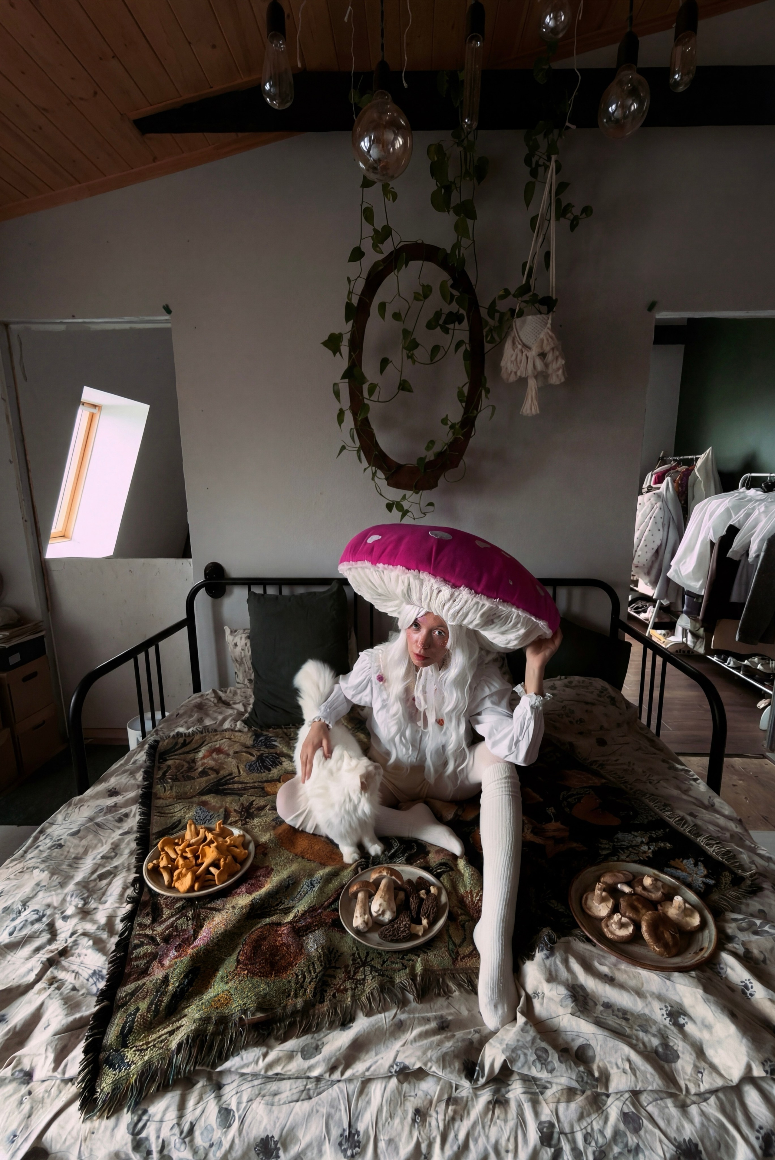 Сказочный лес в мегаполисе