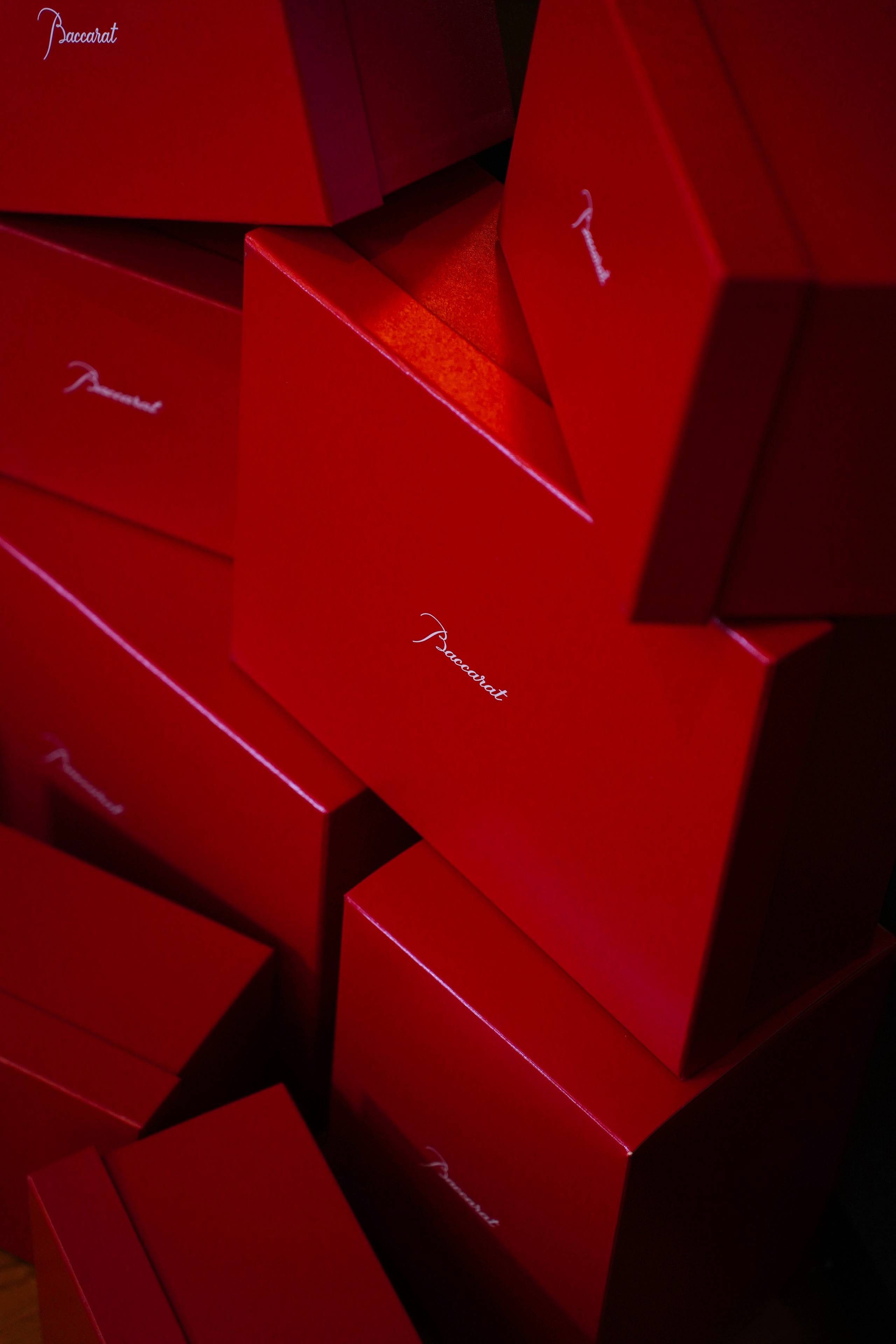 Мероприятия. Универсальный фотограф в Геленджике Сидорина Кристина