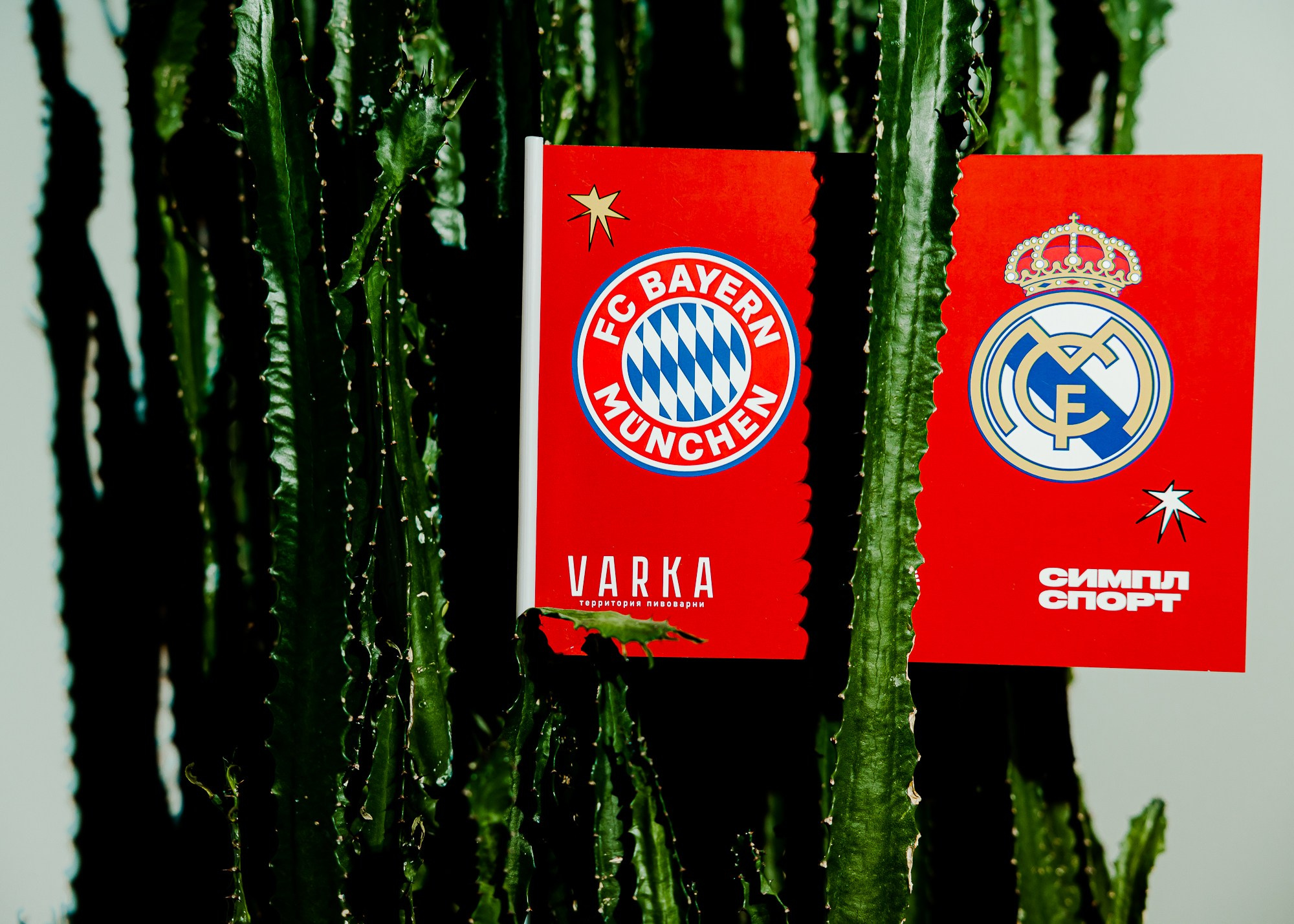 Симплспорт