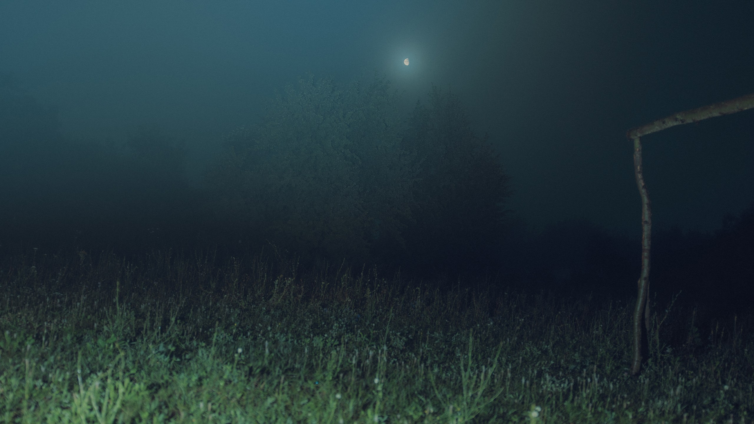 Саша Ковальчук — Репортажный Фотограф