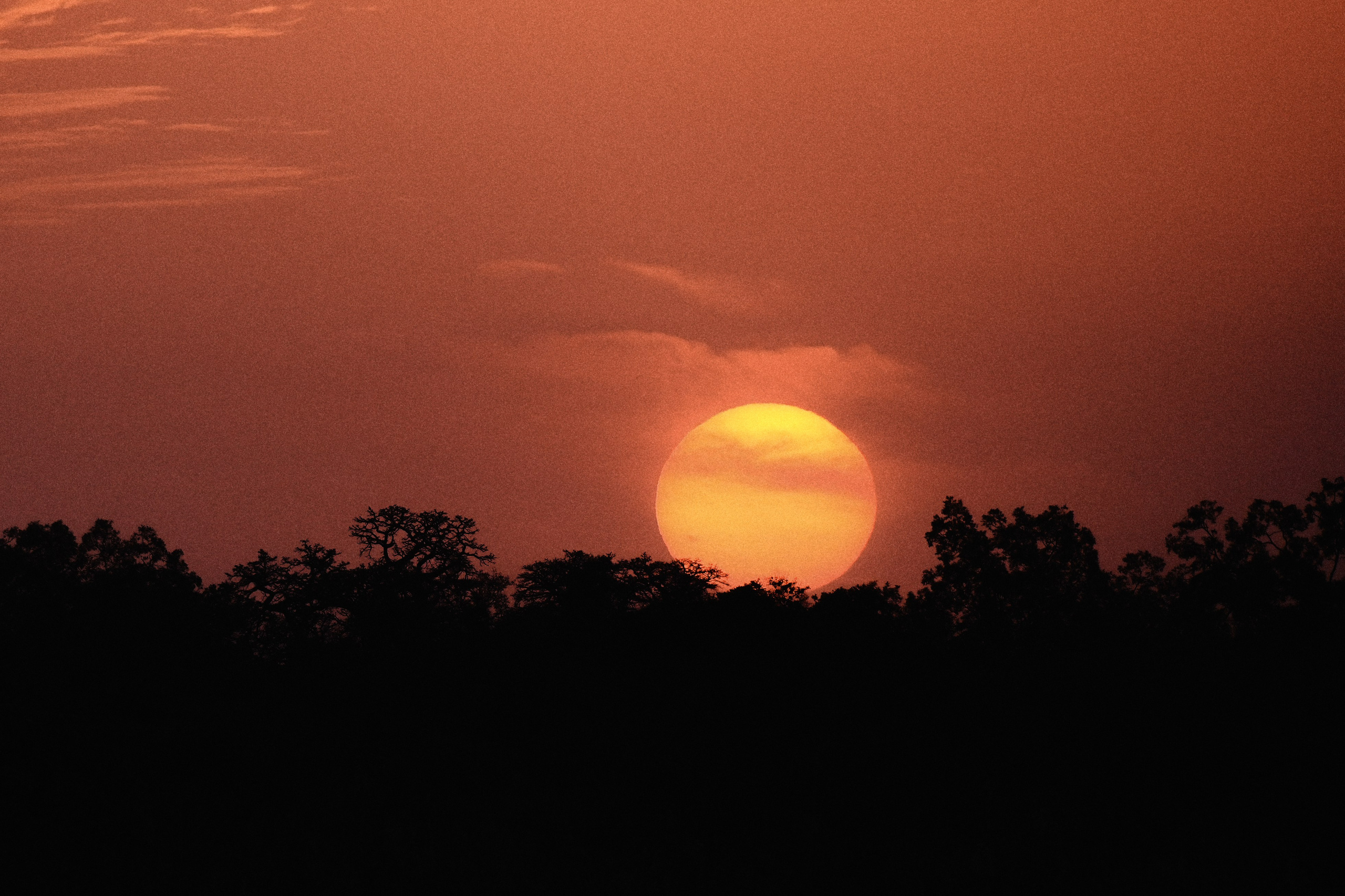Gambia River. See the moment and catche. commercial and reportage