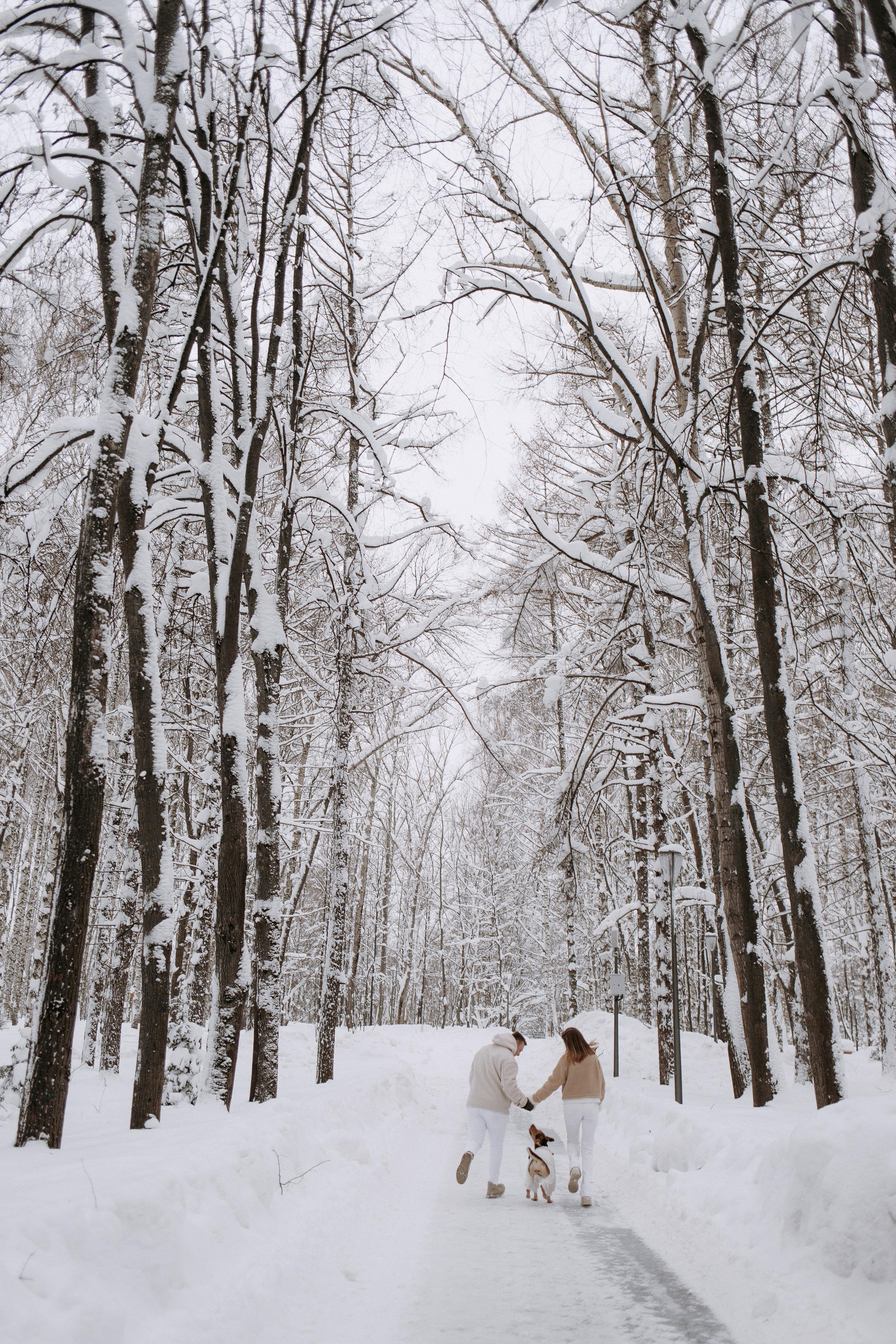 Зимняя love story Димы и Насти. Свадебный фотограф Нижний Новгород