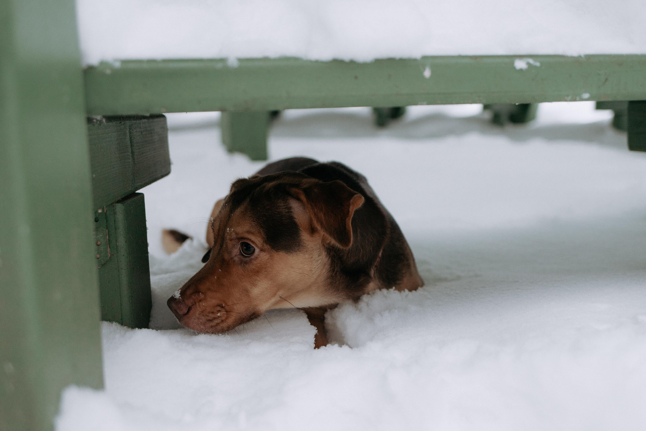 Зимняя love story Димы и Насти. Свадебный фотограф Нижний Новгород