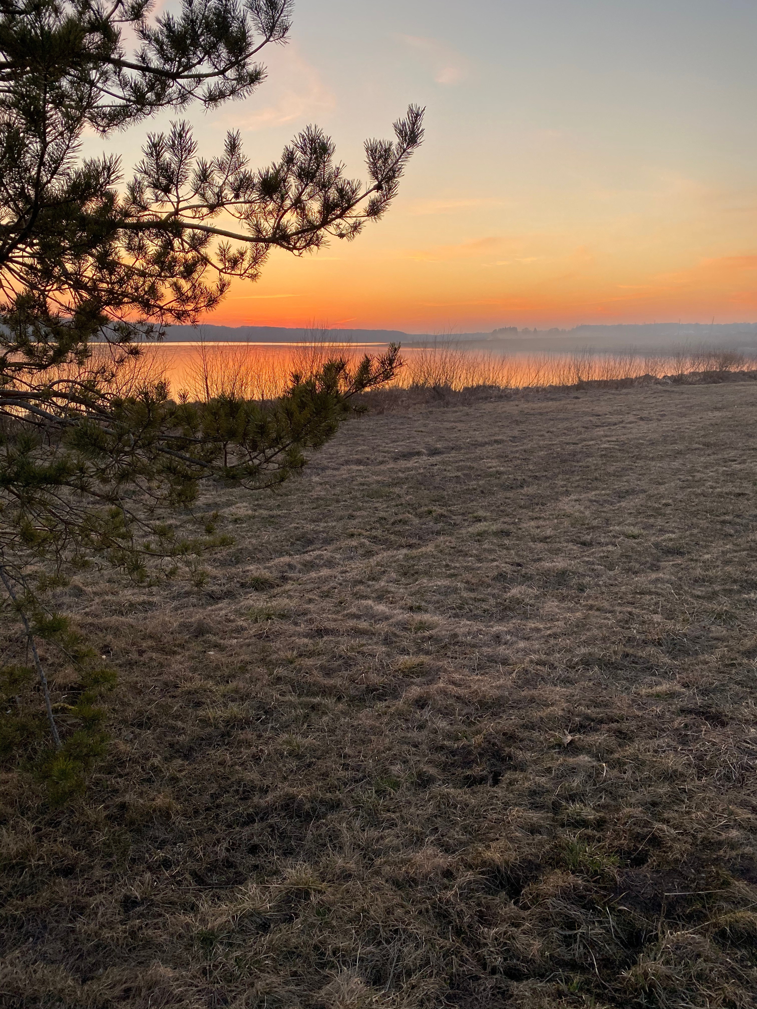 Осетрово — 20. Своя Мастерская