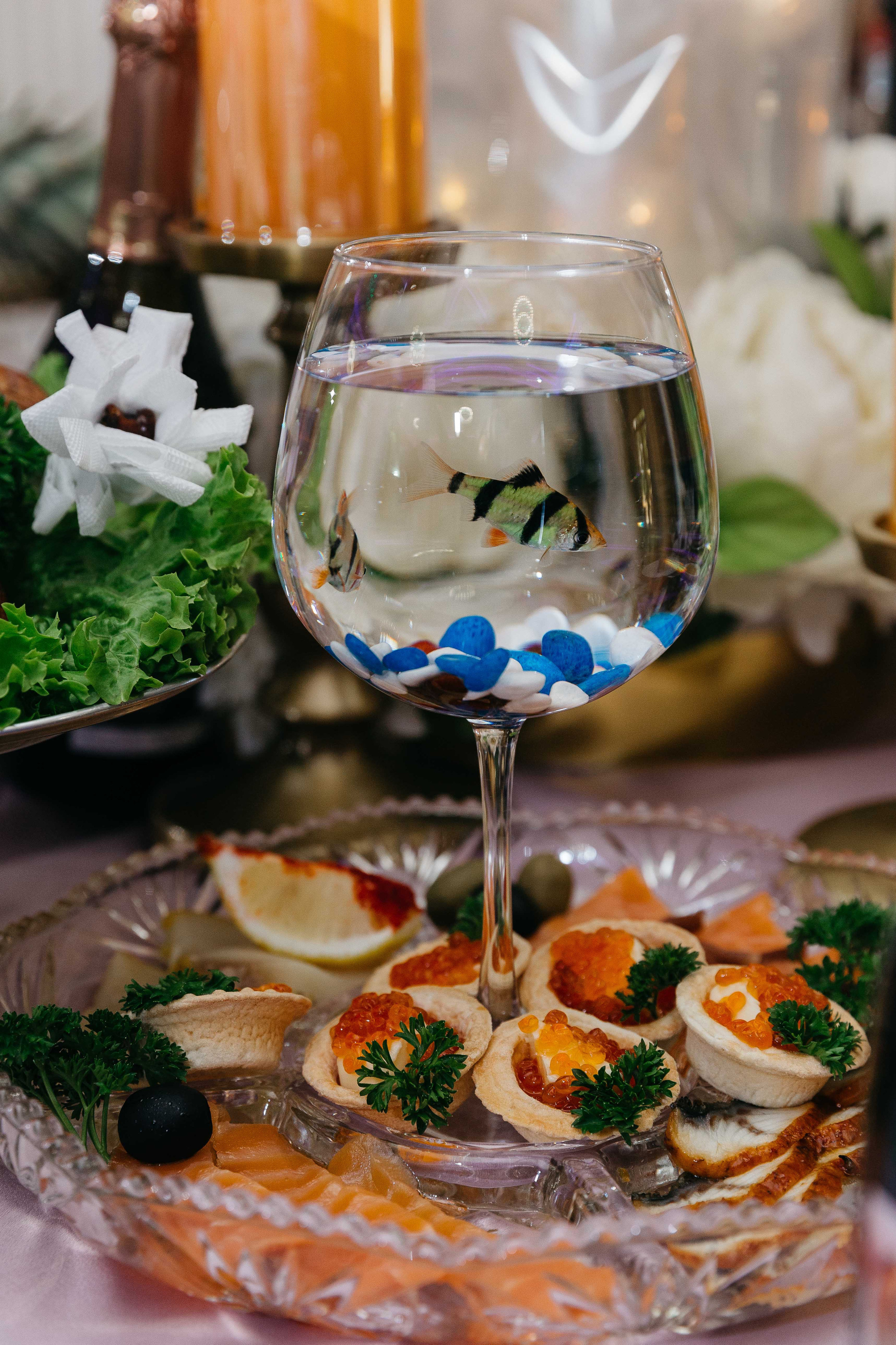 Владимир и Радмила. Свадебный и семейный фотограф в Краснодаре