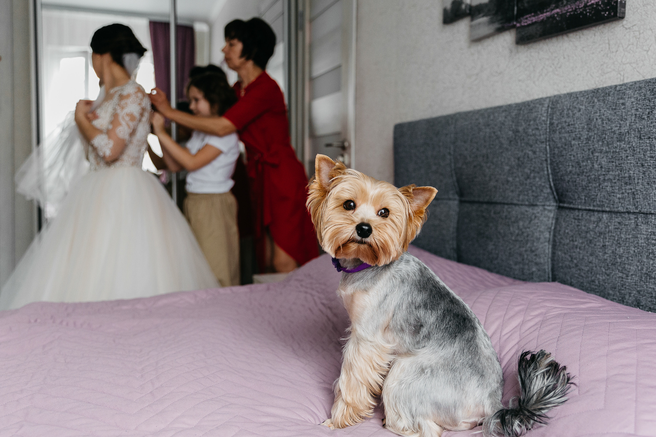 Вера и Эдуард 24.04.2021. Свадебный и семейный фотограф в Краснодаре