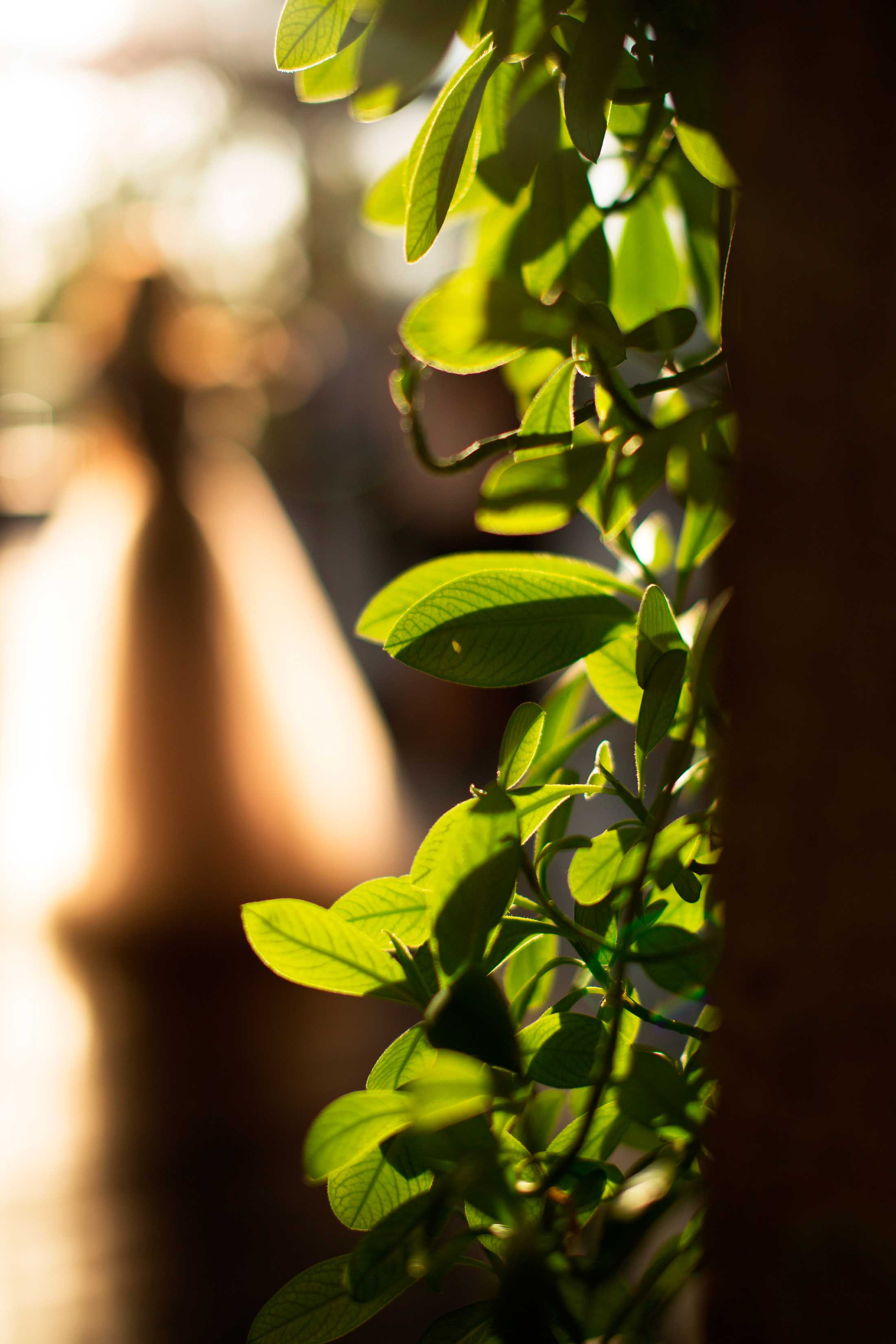 Свадебный и семейный фотограф в Краснодаре