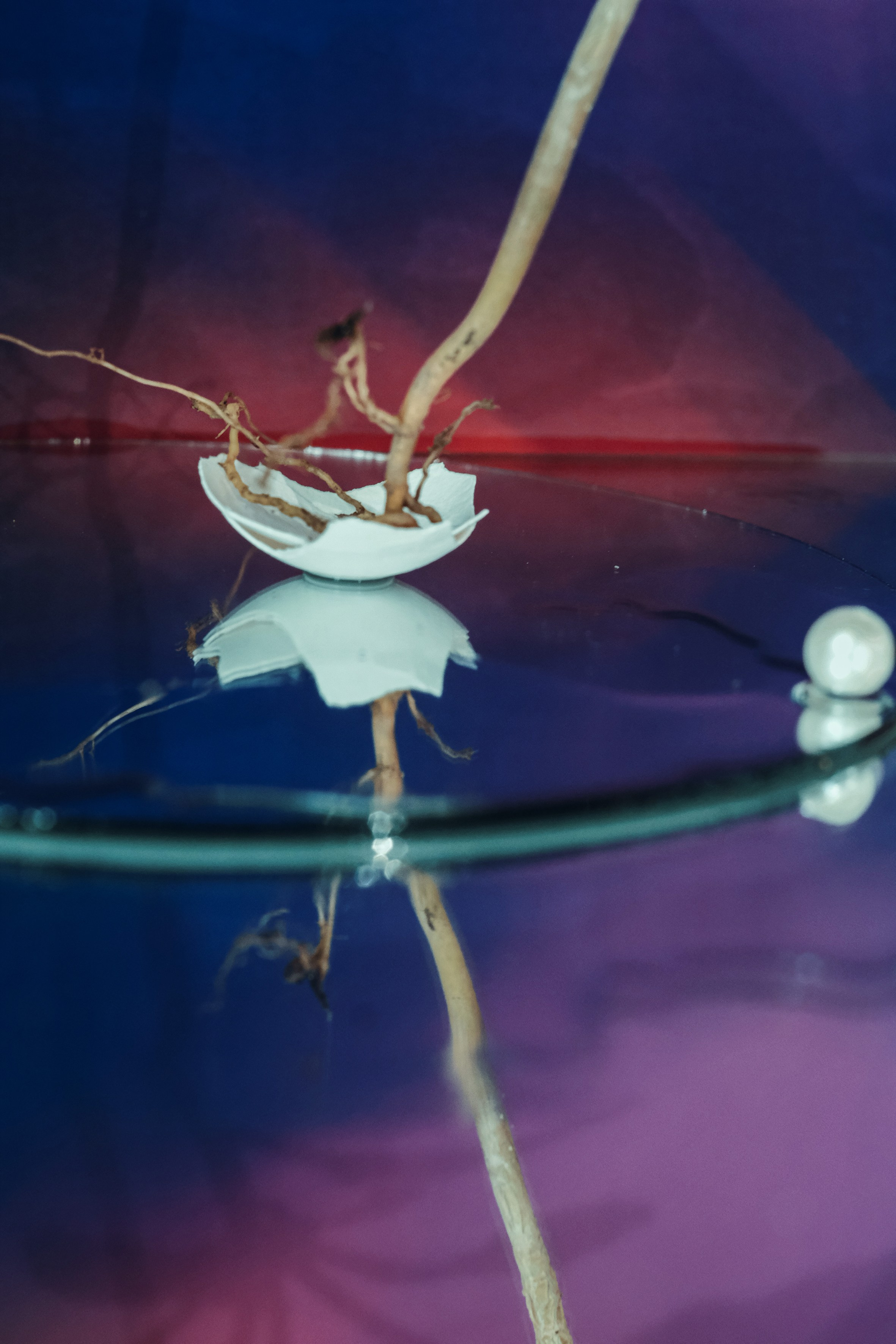 Art. Фотограф Алина Малина