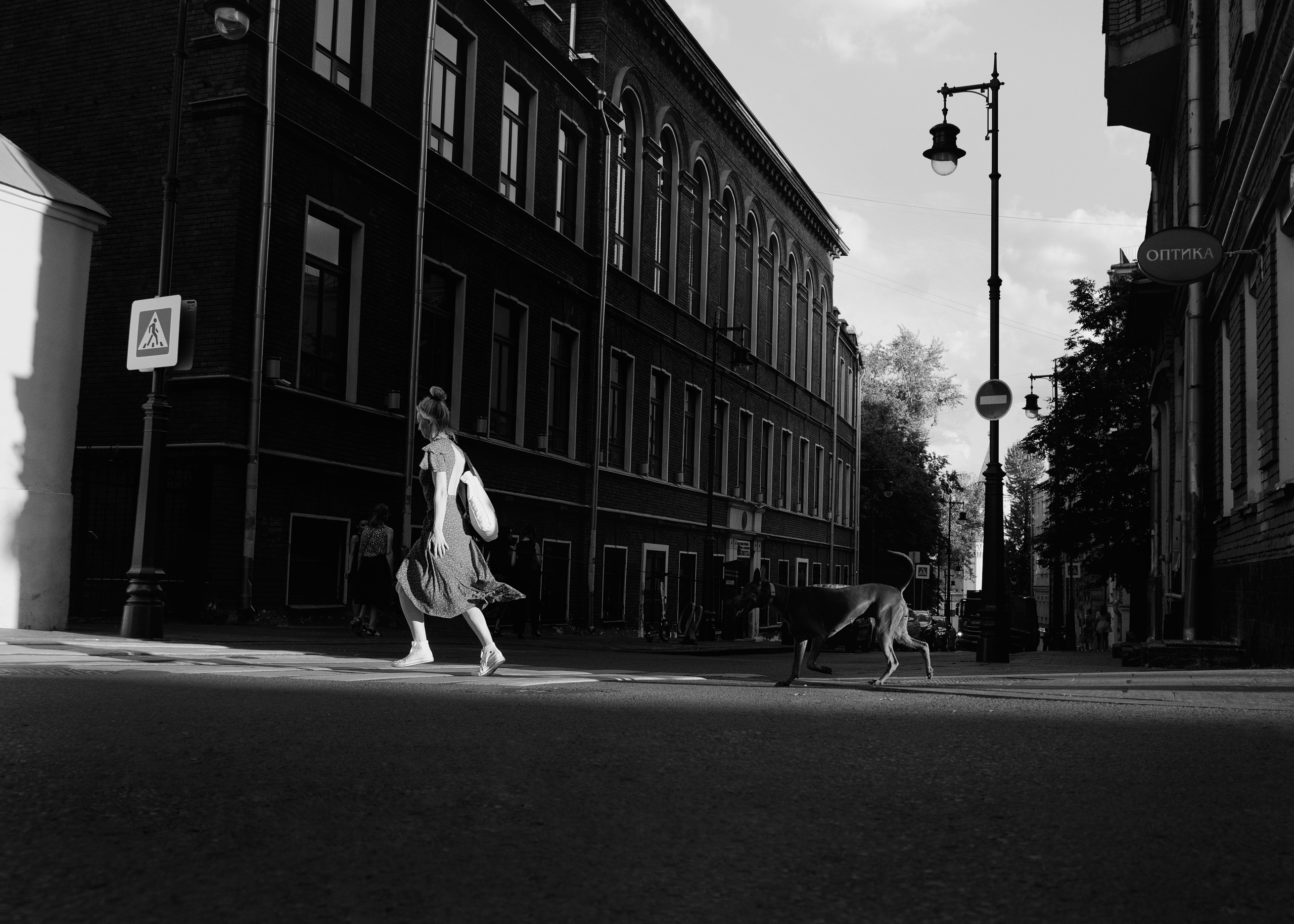 Шарма. Фотограф- анималист Александра Матвеева