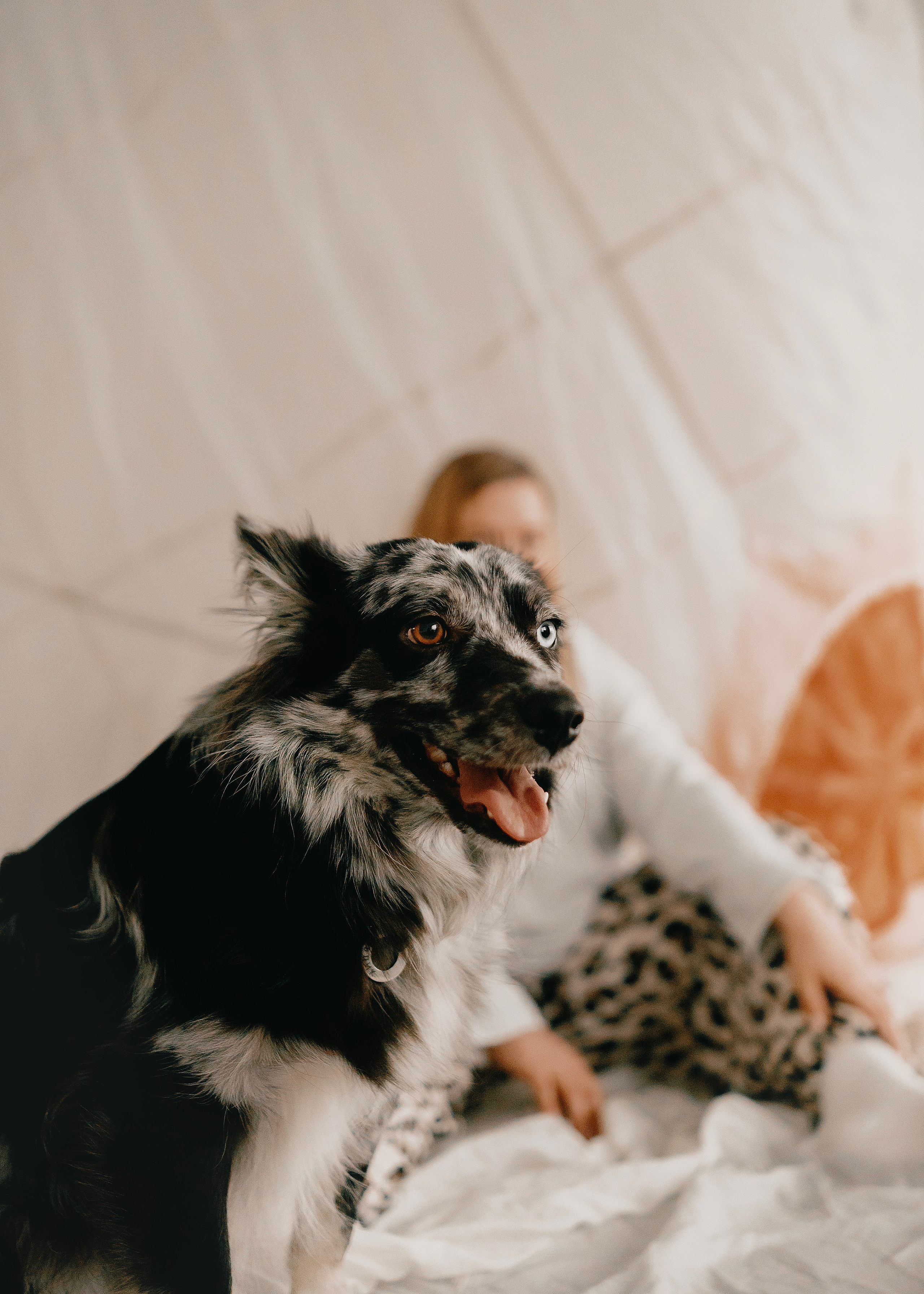 Бублик. Фотограф- анималист Александра Матвеева