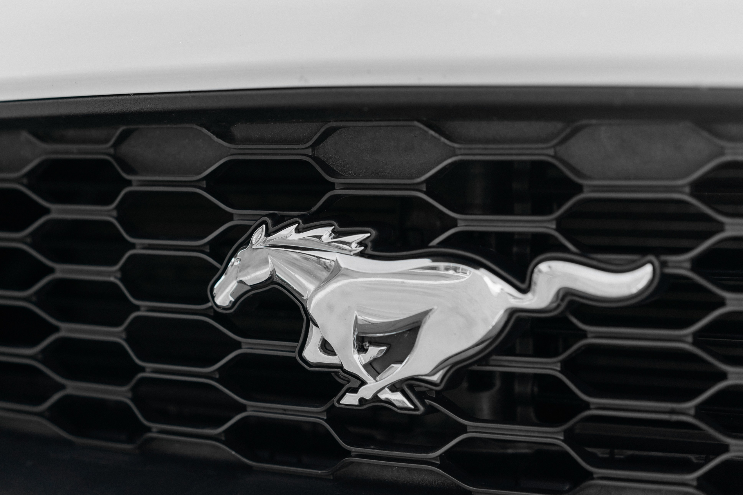 Александр и Ирина. Свадебный и семейный фотограф в Калининграде Анастасия Гриценко