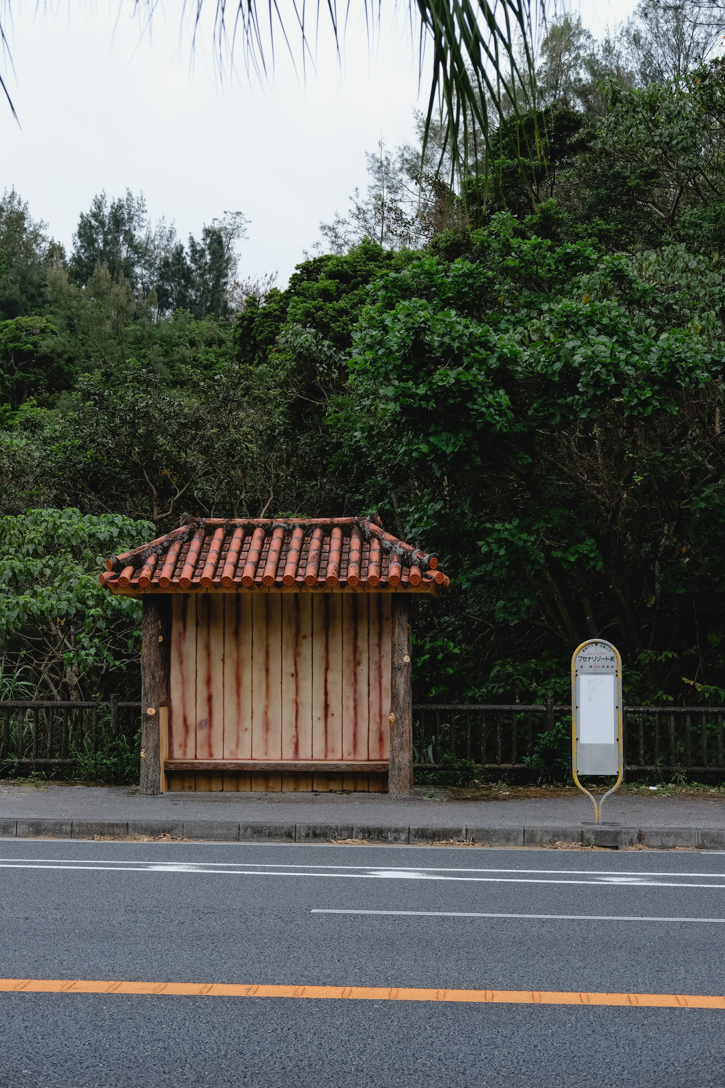 Japan 2026. Фотограф в Москве Daria Lens