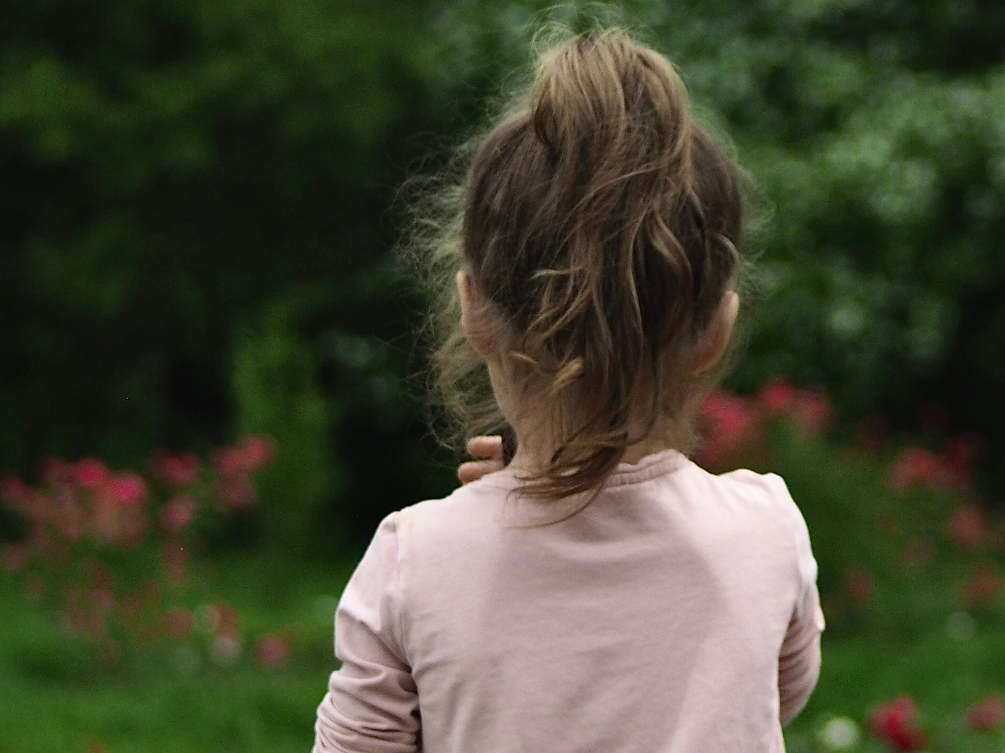 Дети. Смотри, красота!