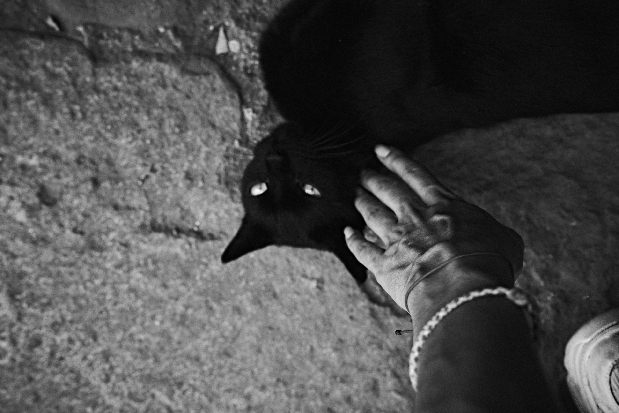 CRIMEA. ФОТОГРАФ ЕКАТЕРИНБУРГ