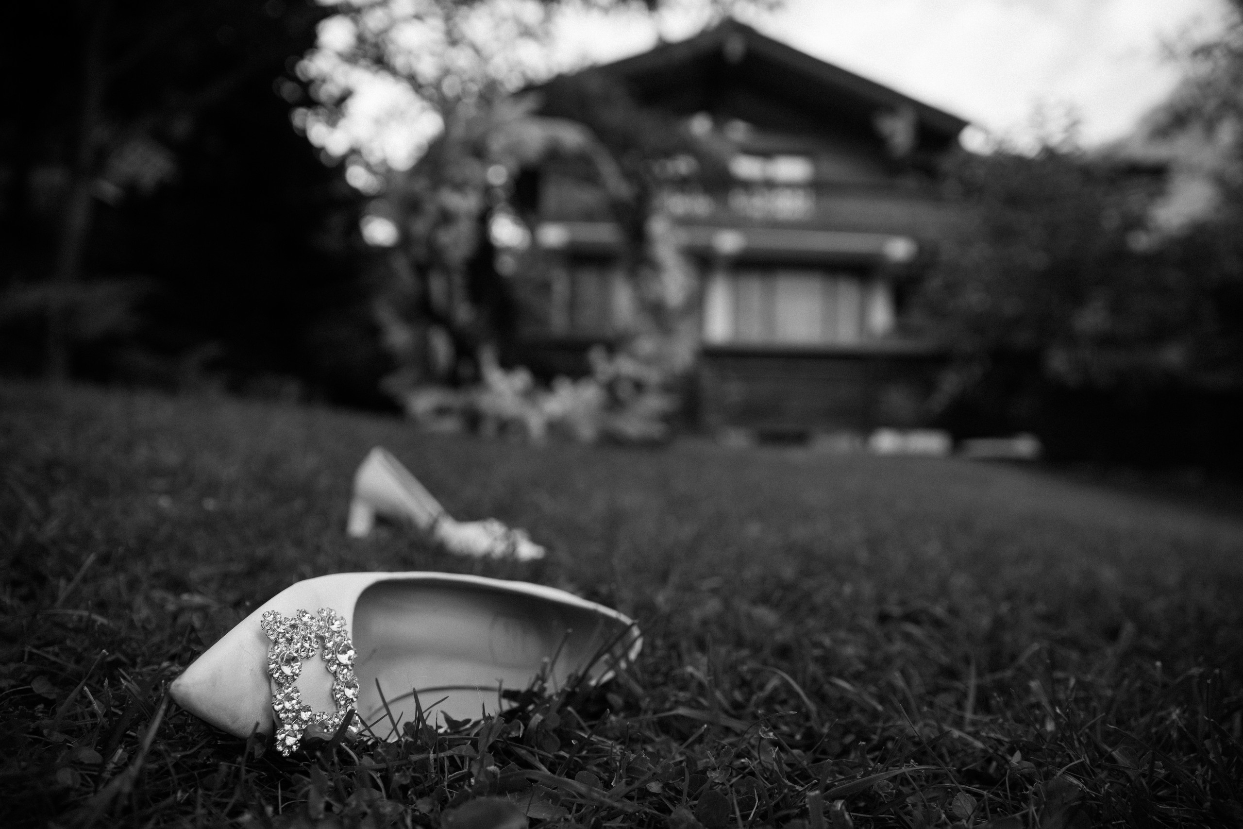 Sofi — Alex. Elopement Wedding Photographer