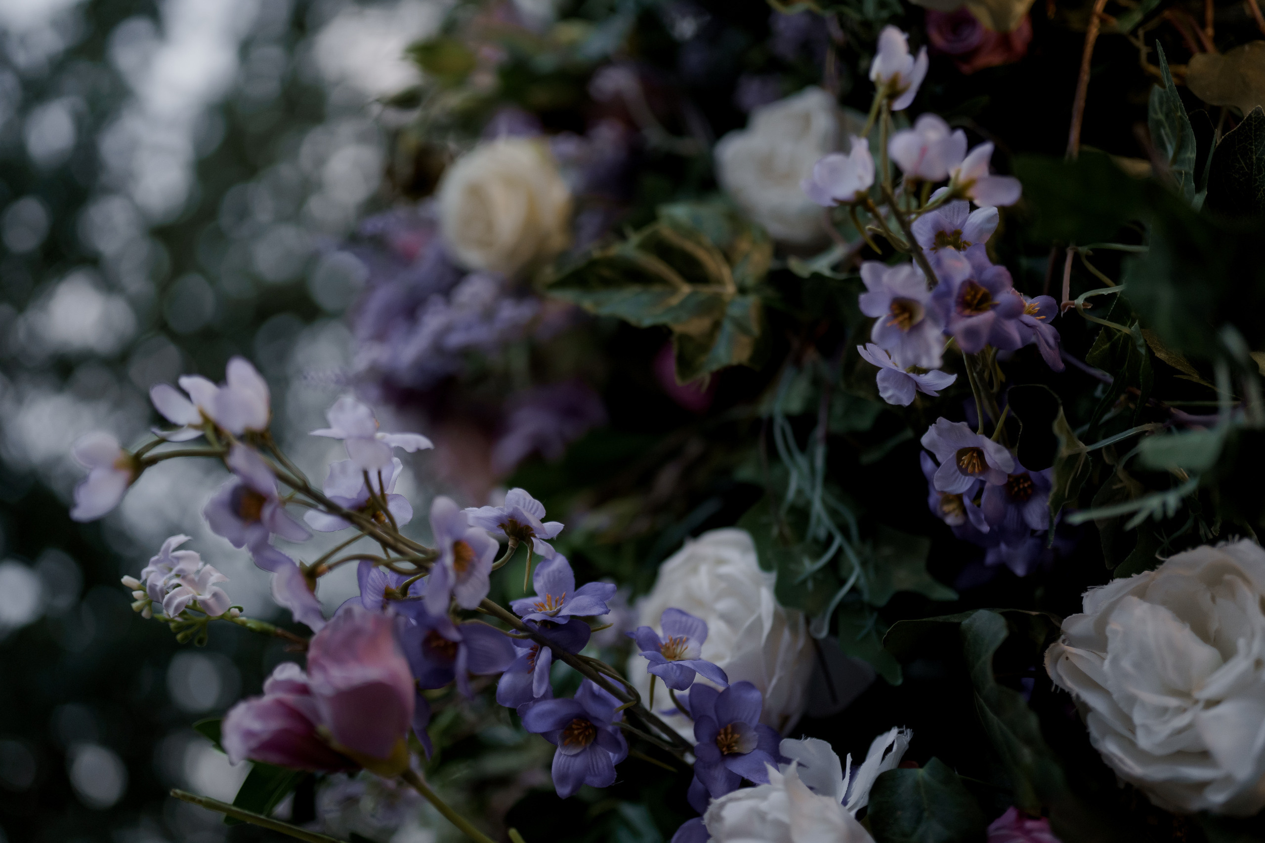 Диана-Глеб. Elopement Wedding Photographer