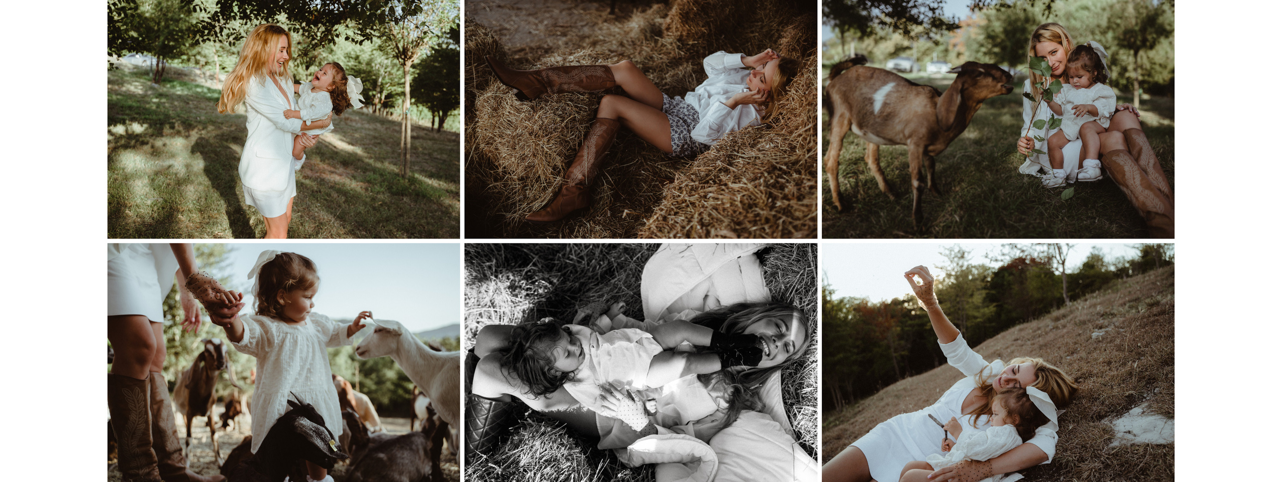 O ~ M. Elopement Wedding Photographer