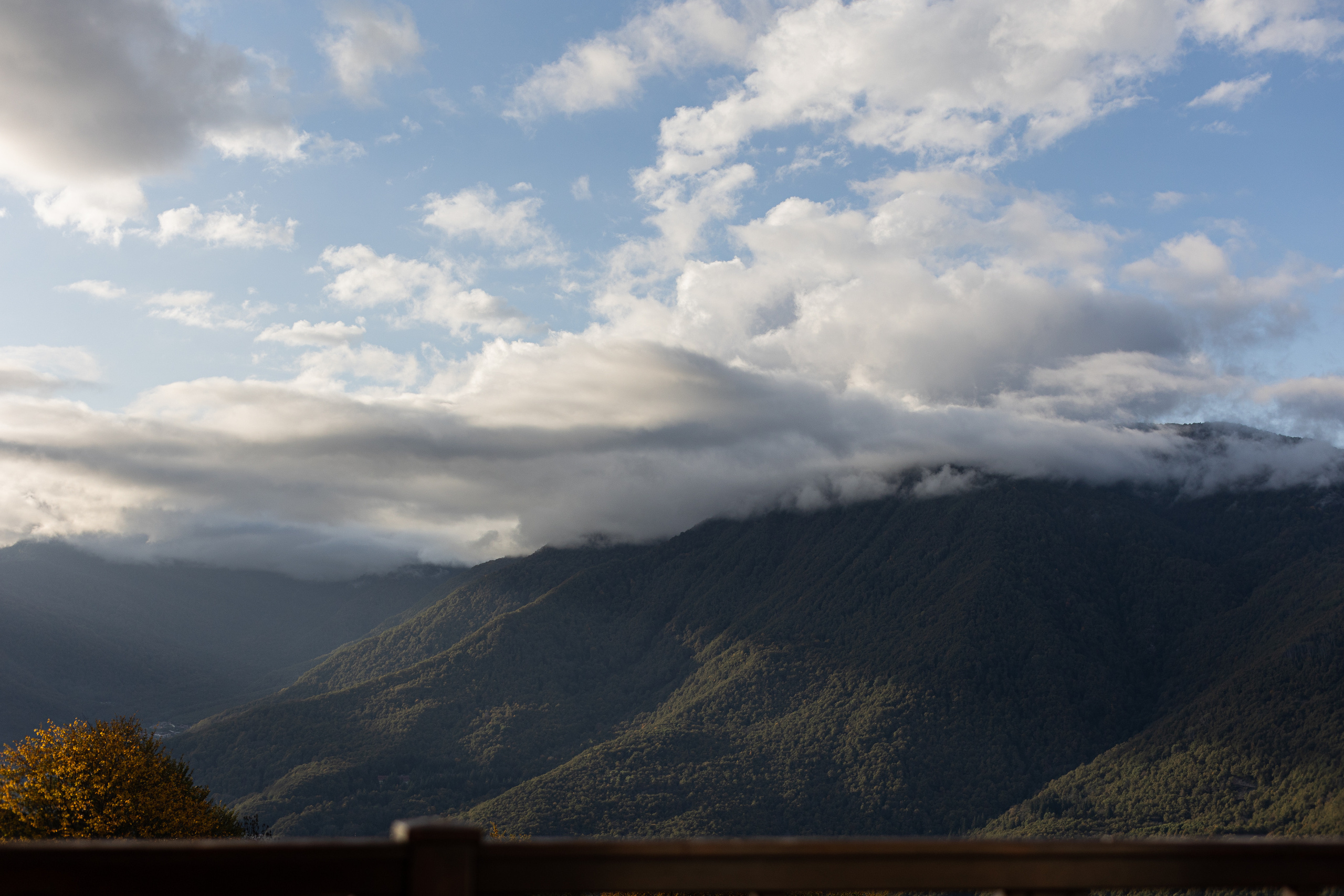 Конкурс. Elopement Wedding Photographer