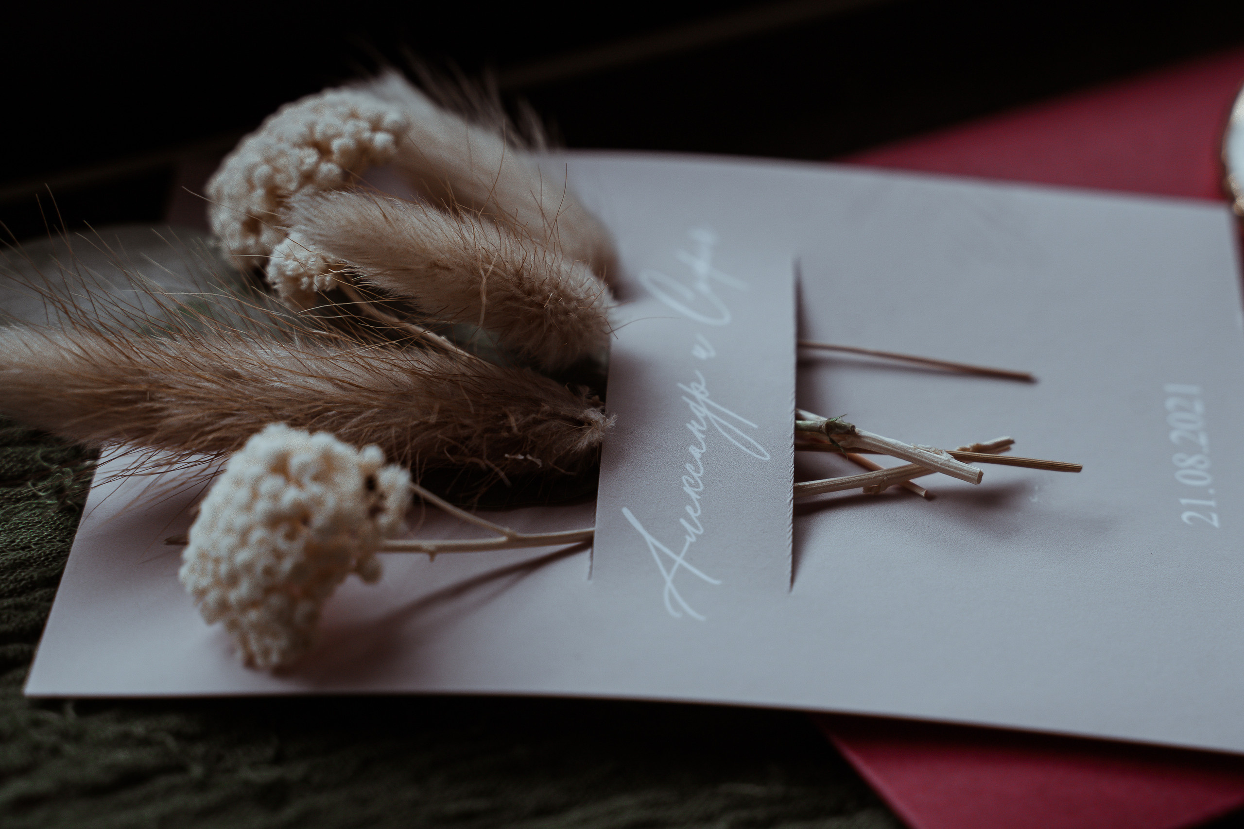 Sofi — Alex. Elopement Wedding Photographer