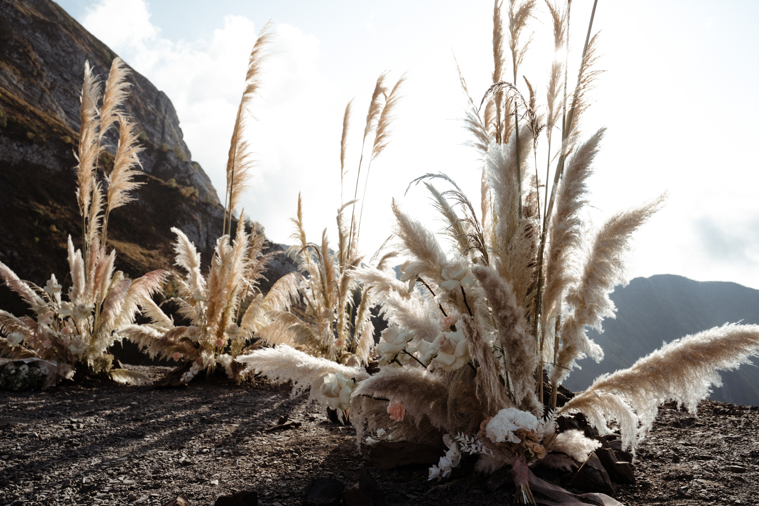 Rita and Alex. Elopement Wedding Photographer