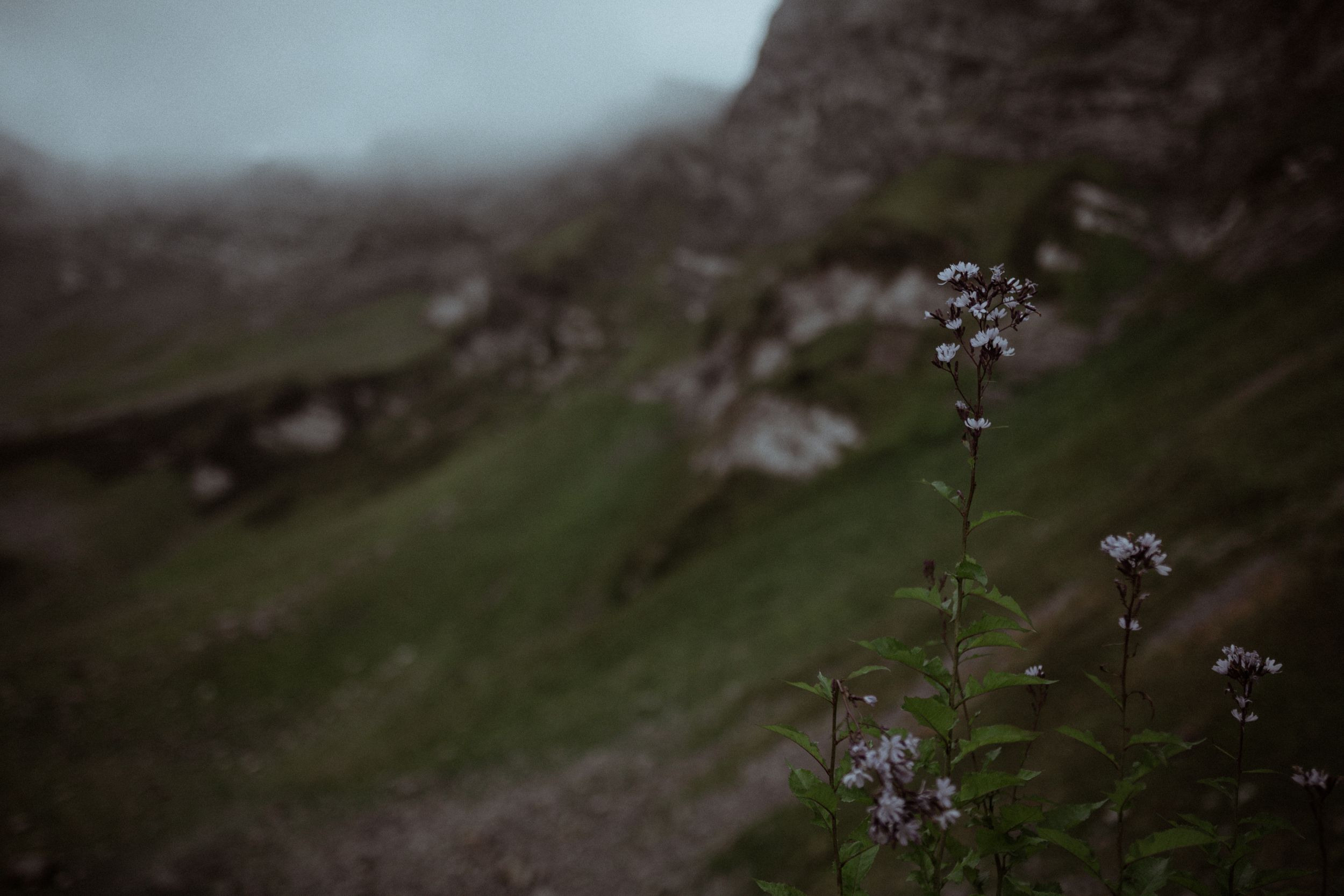 Kate and Nikita. Elopement Wedding Photographer