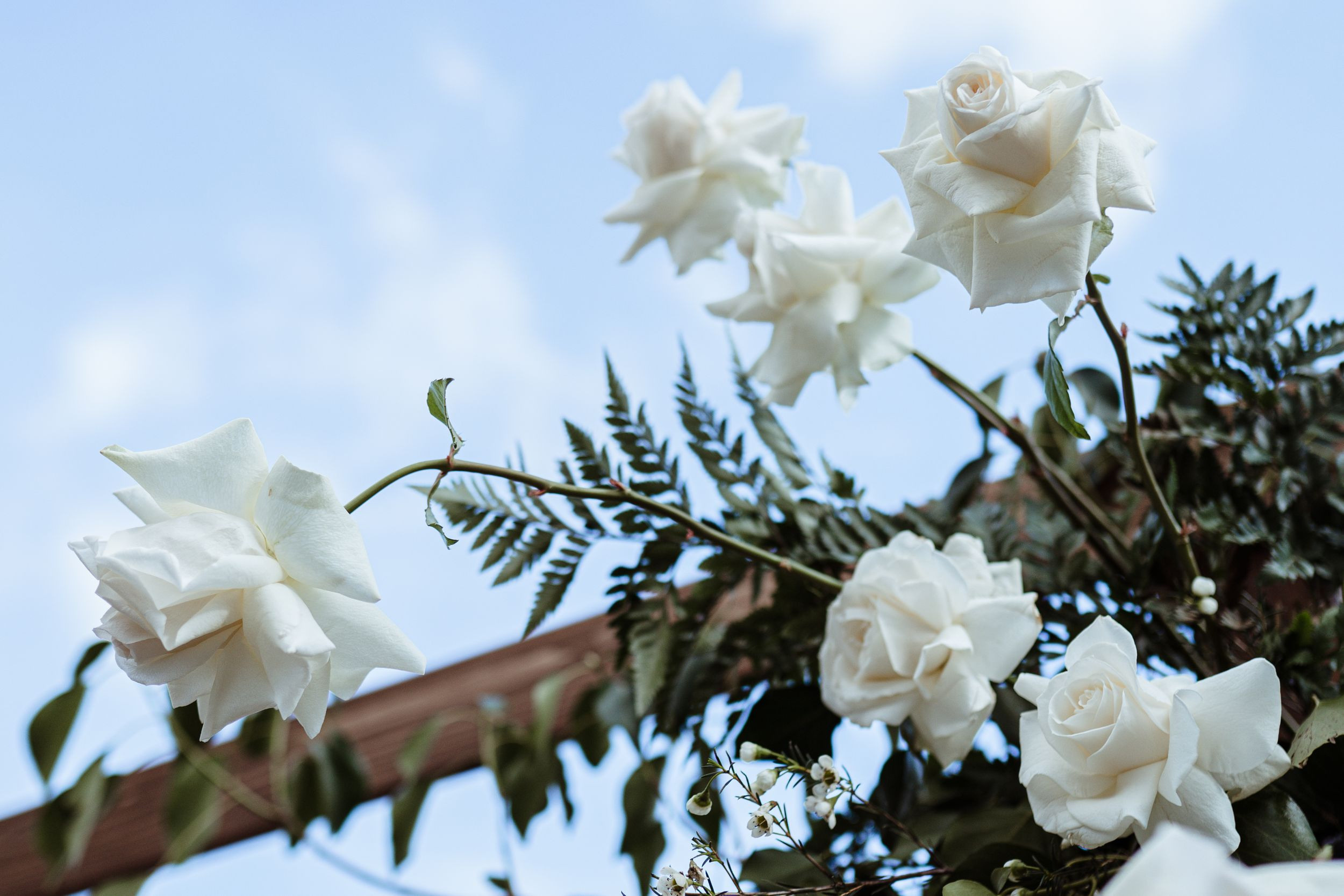 Вадим-Анастасия. Elopement Wedding Photographer