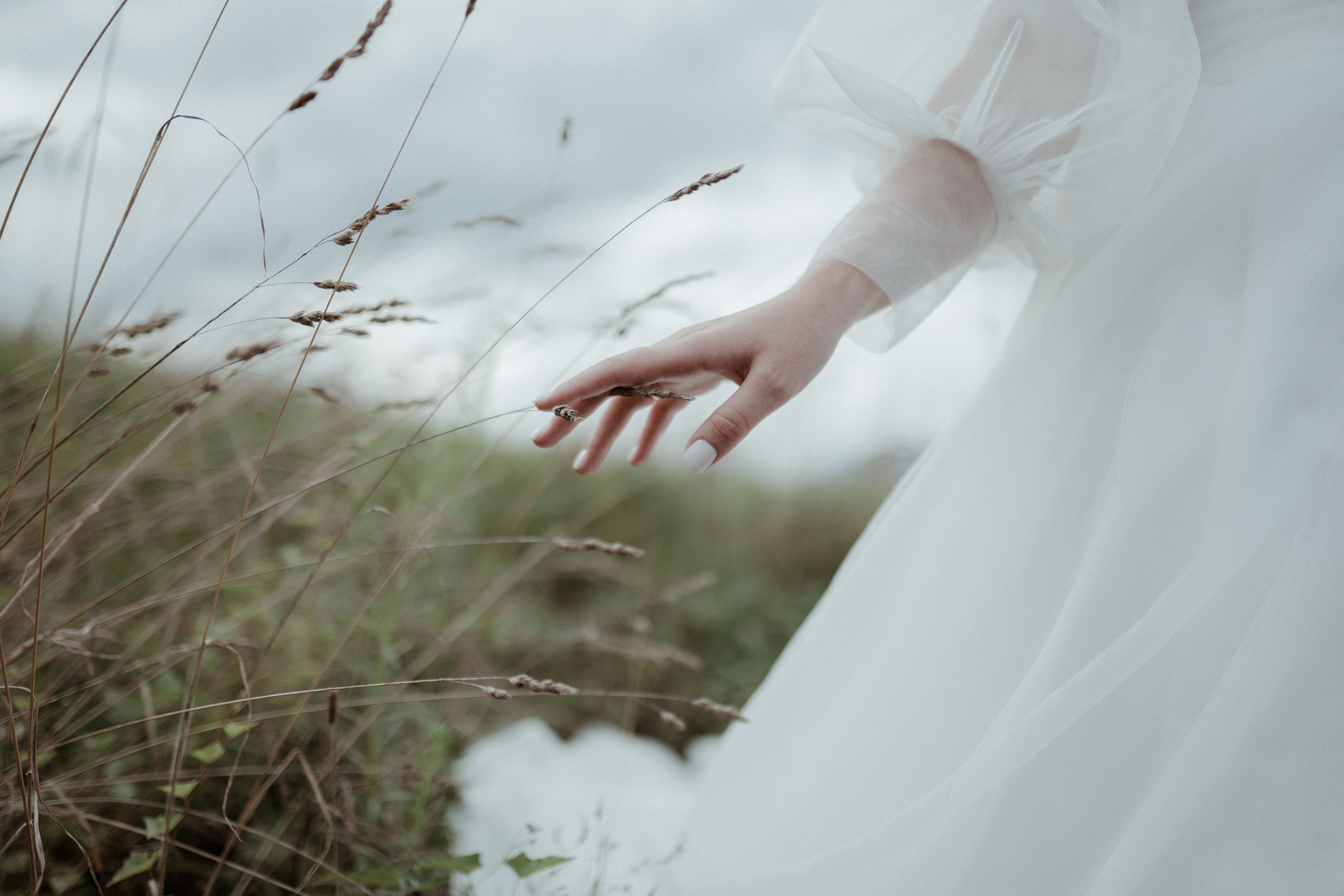 Sofi — Alex. Elopement Wedding Photographer