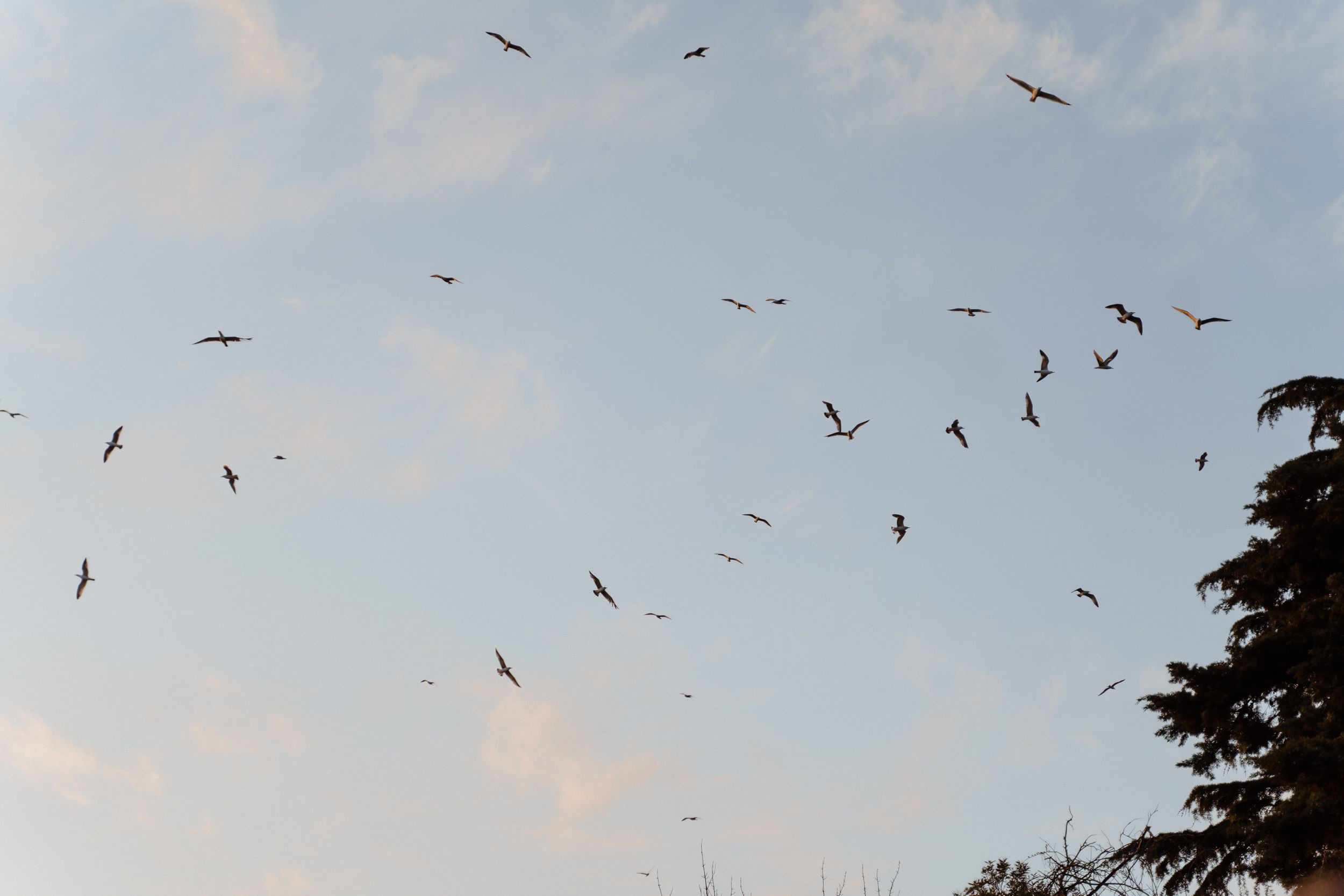 Море для двоих. Elopement Wedding Photographer