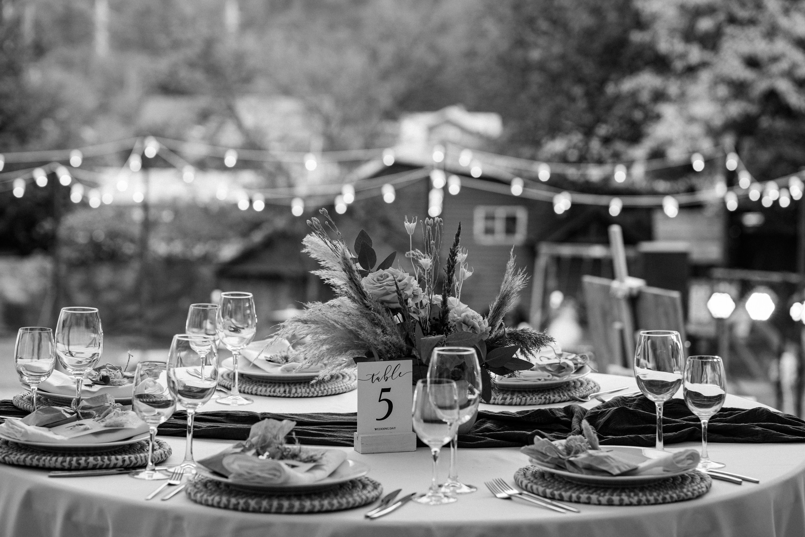 Sofi — Alex. Elopement Wedding Photographer