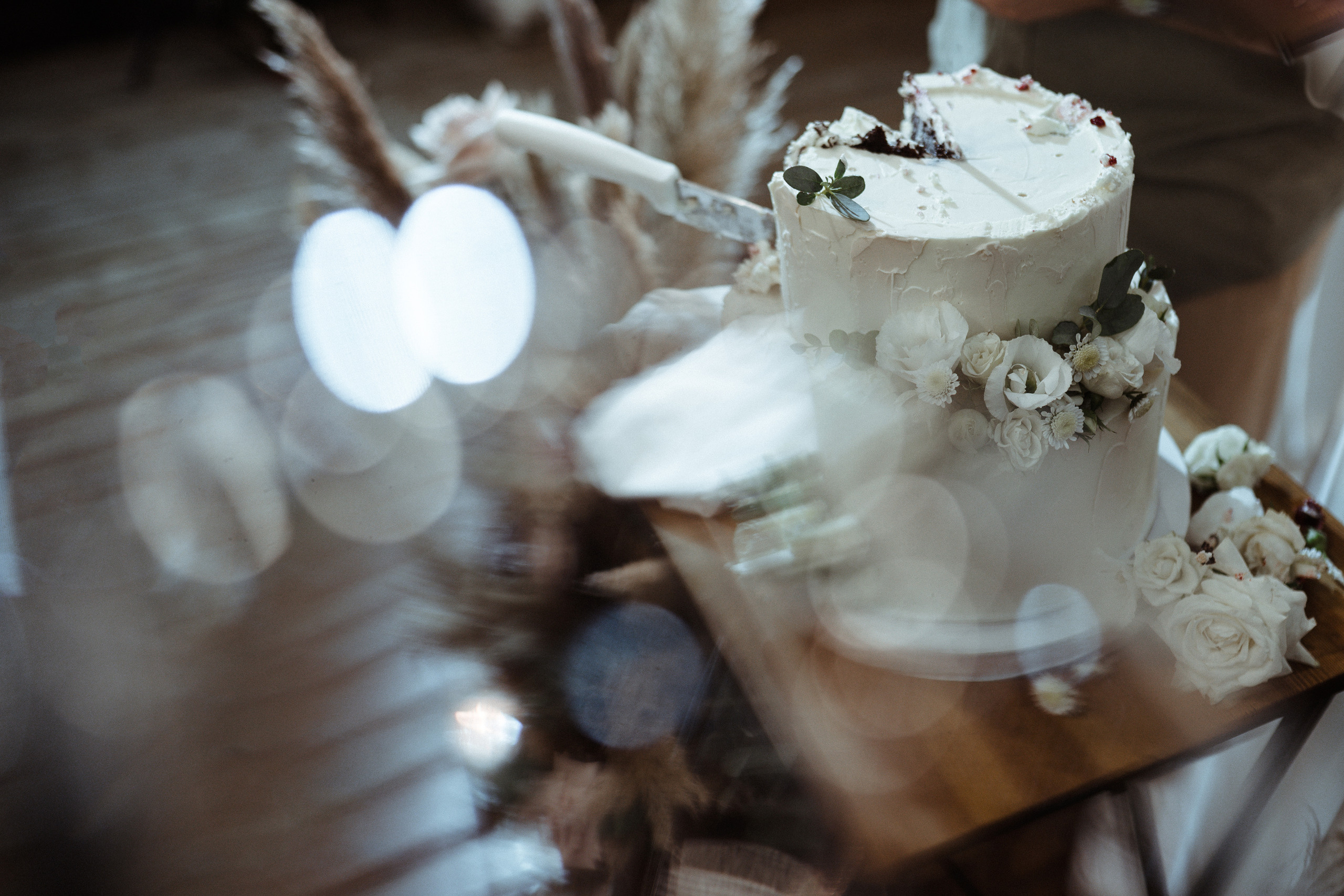 Sofi — Alex. Elopement Wedding Photographer