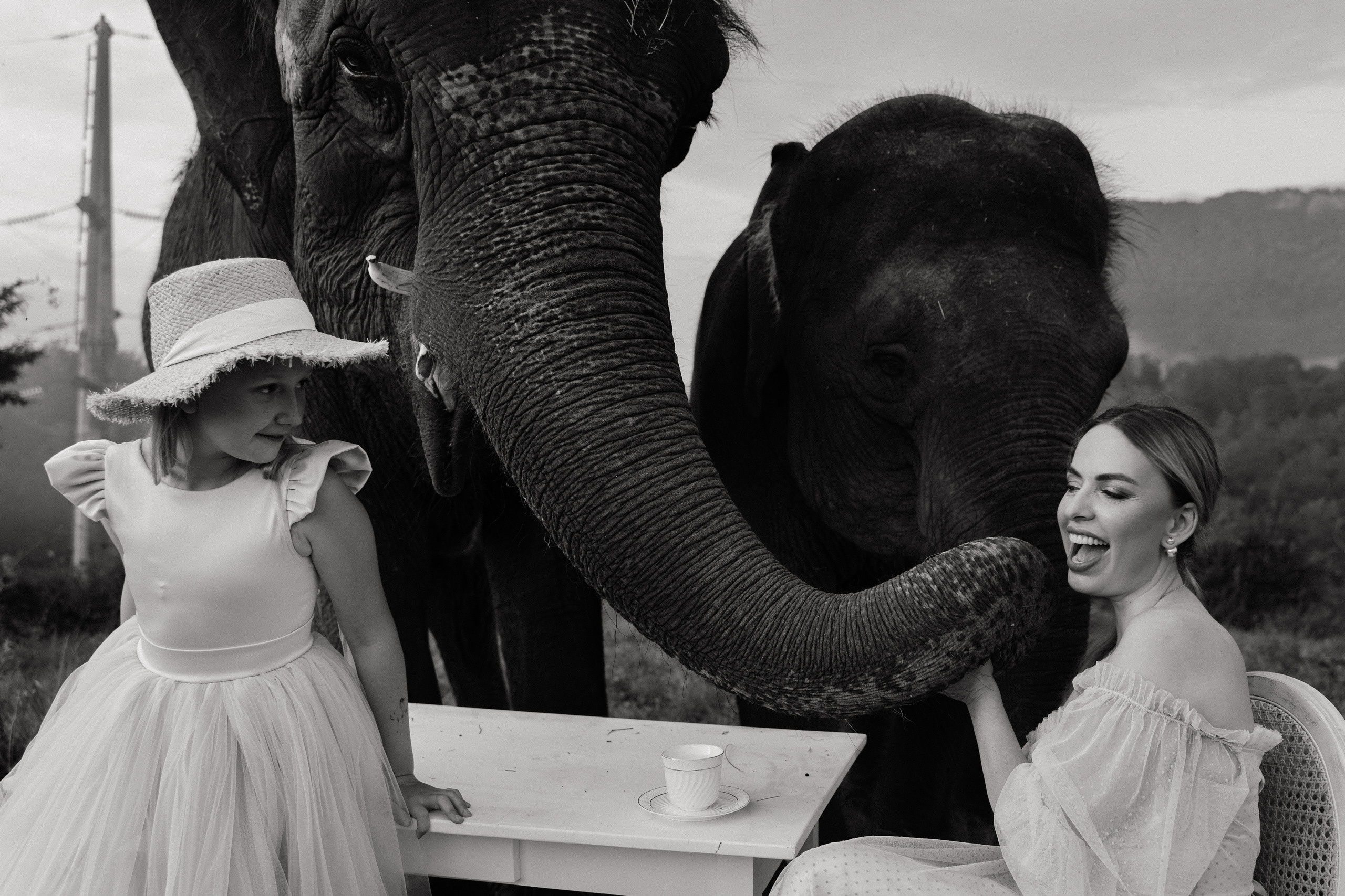 Конкурс. Elopement Wedding Photographer