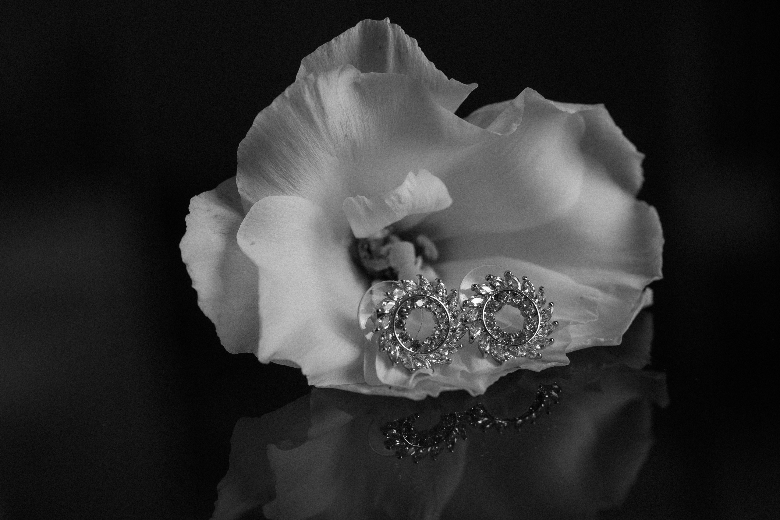 Конкурс. Elopement Wedding Photographer