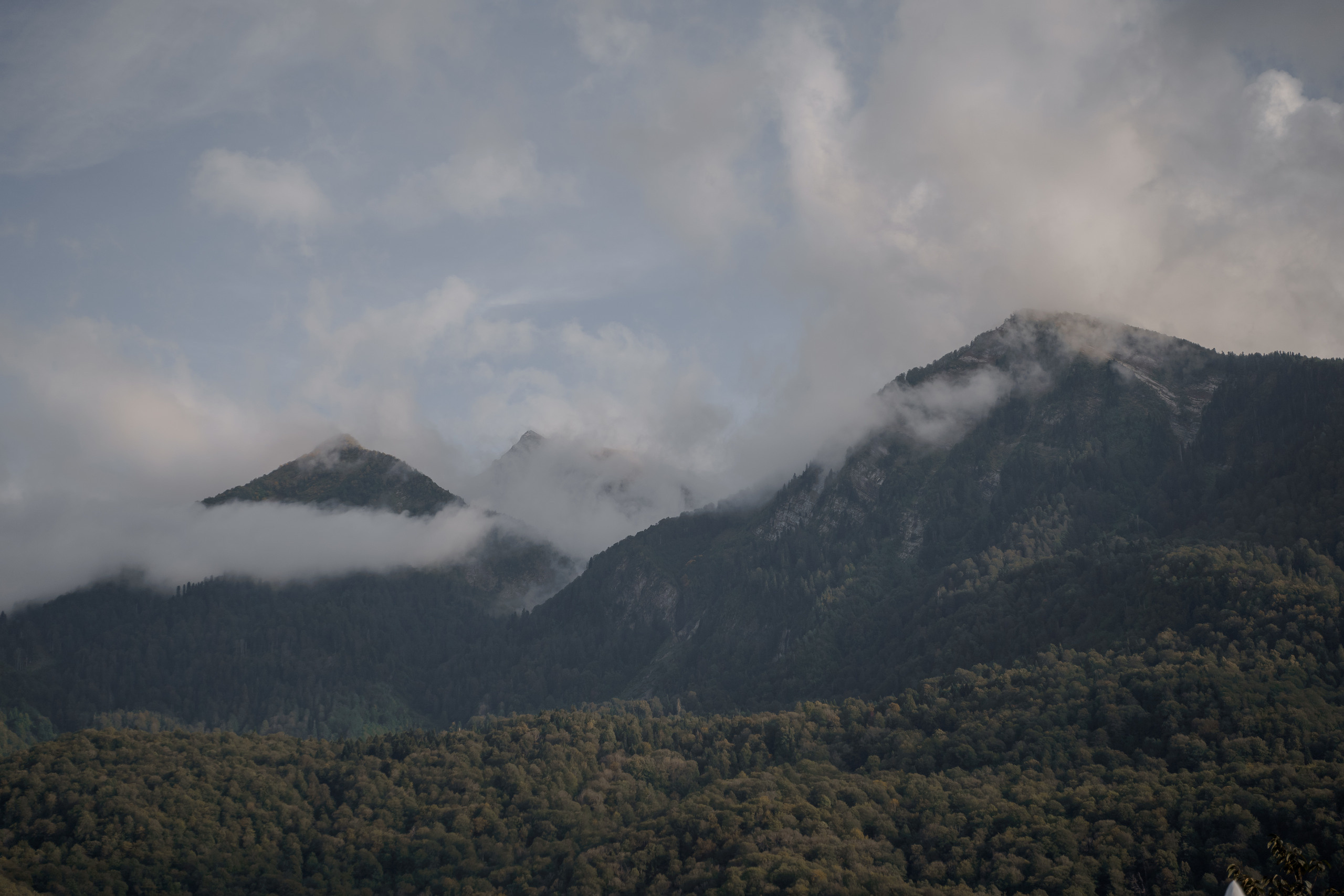 Диана-Глеб. Elopement Wedding Photographer