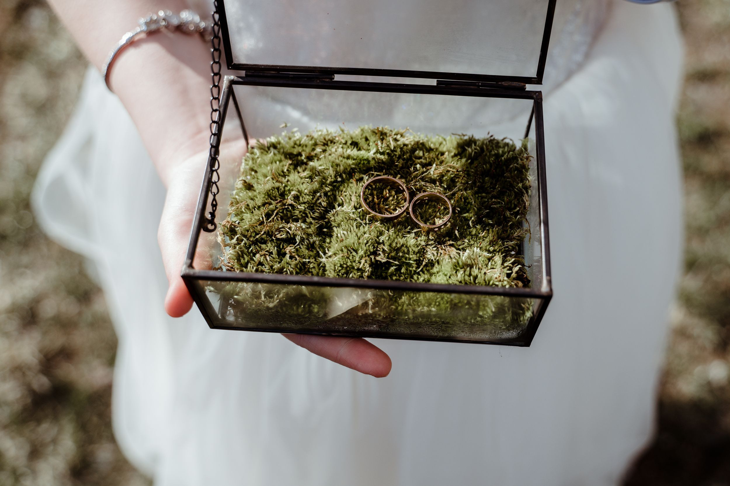 Вадим-Анастасия. Elopement Wedding Photographer