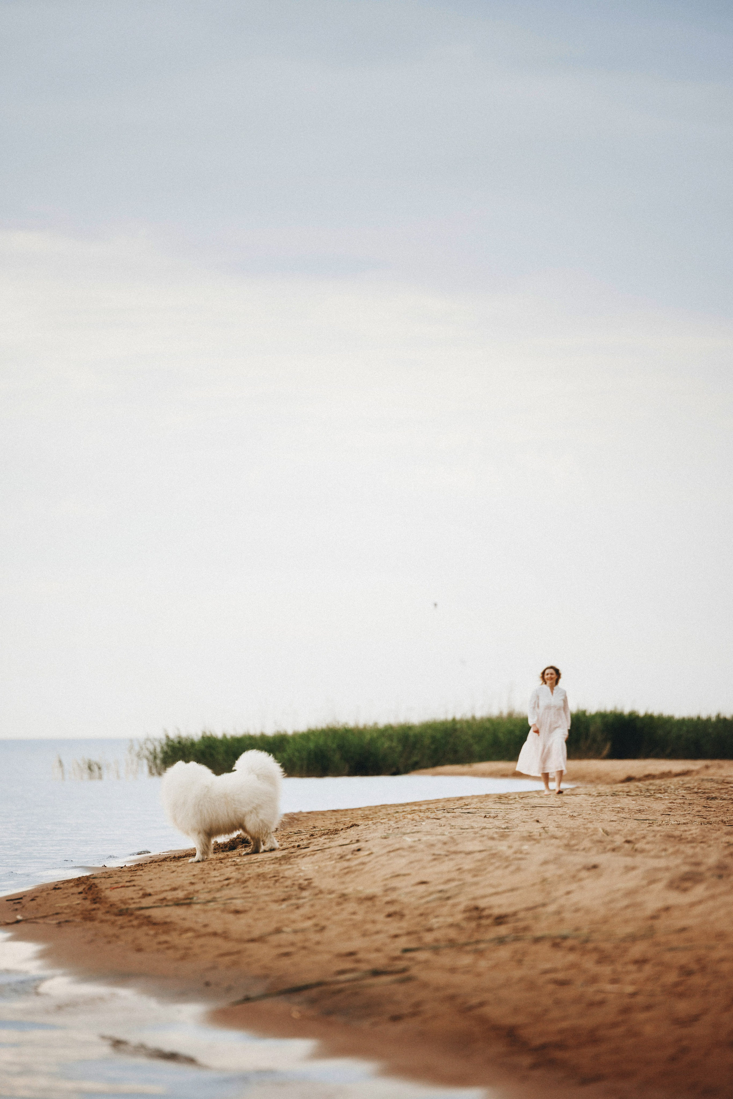 Женя и Цезарь. Фотограф анималист Осипчикова Мария