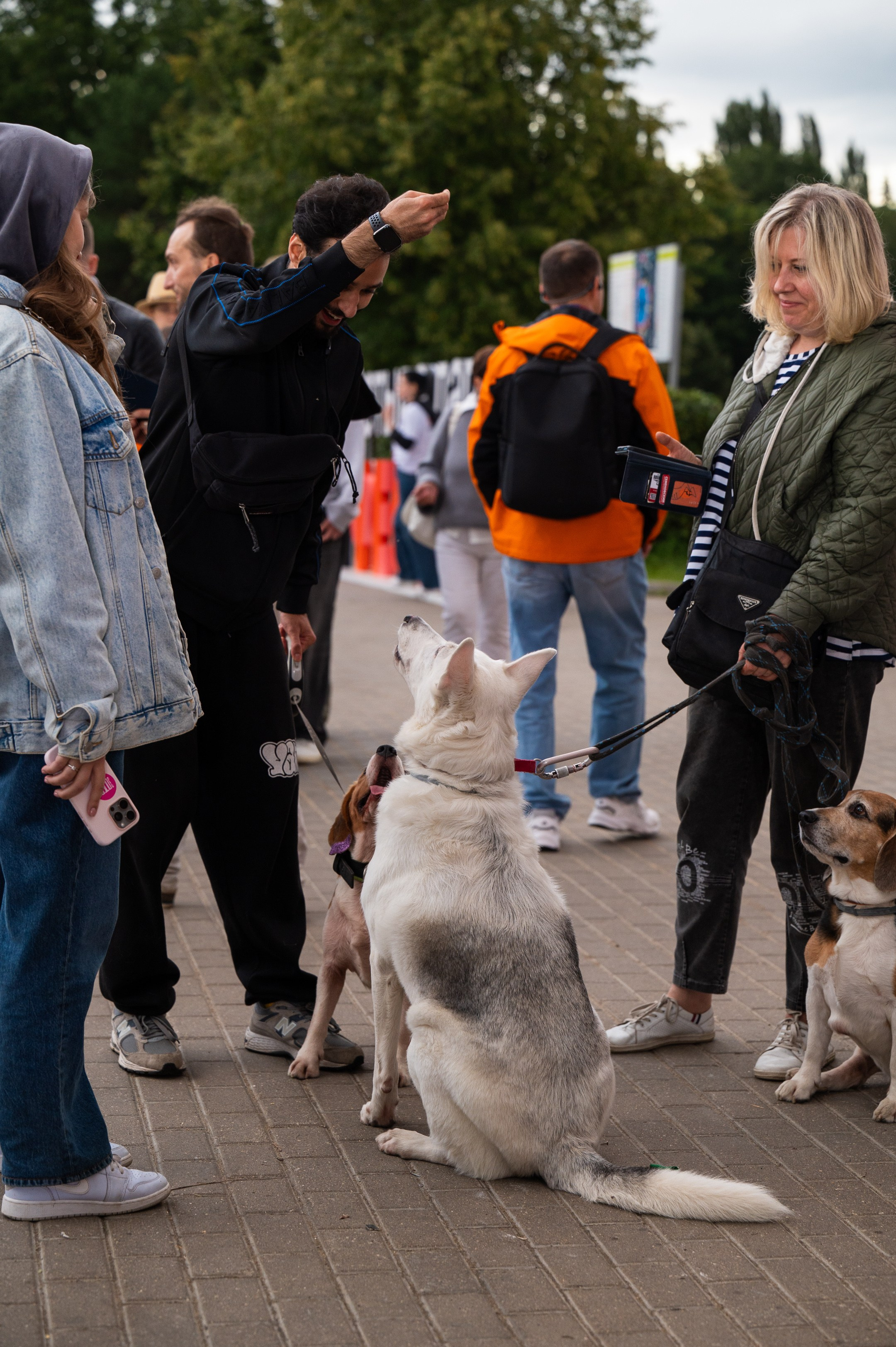 4lapy fest 2025. Photographer in Moscow Anna Chistiakova