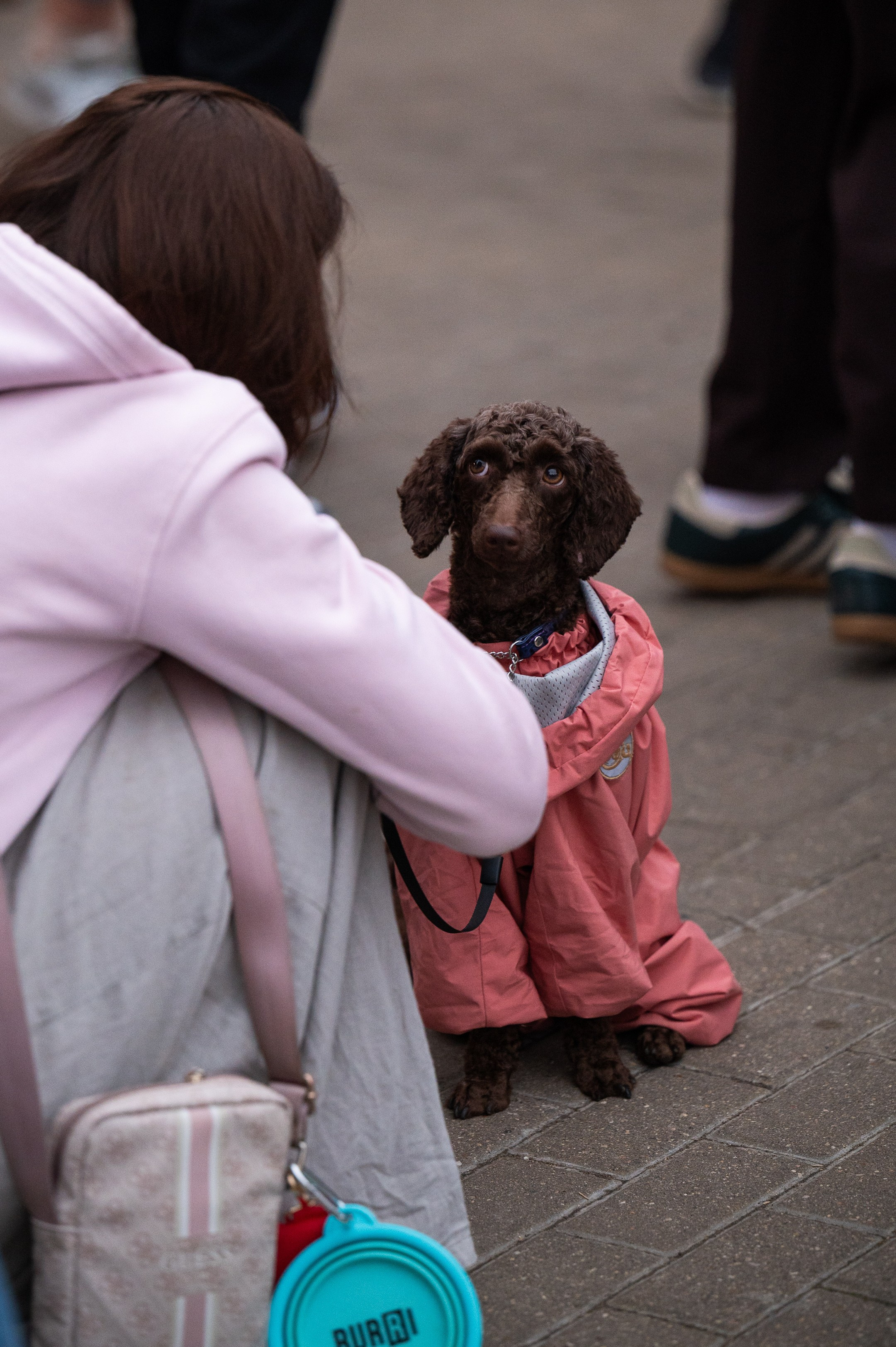 4lapy fest 2025. Photographer in Moscow Anna Chistiakova