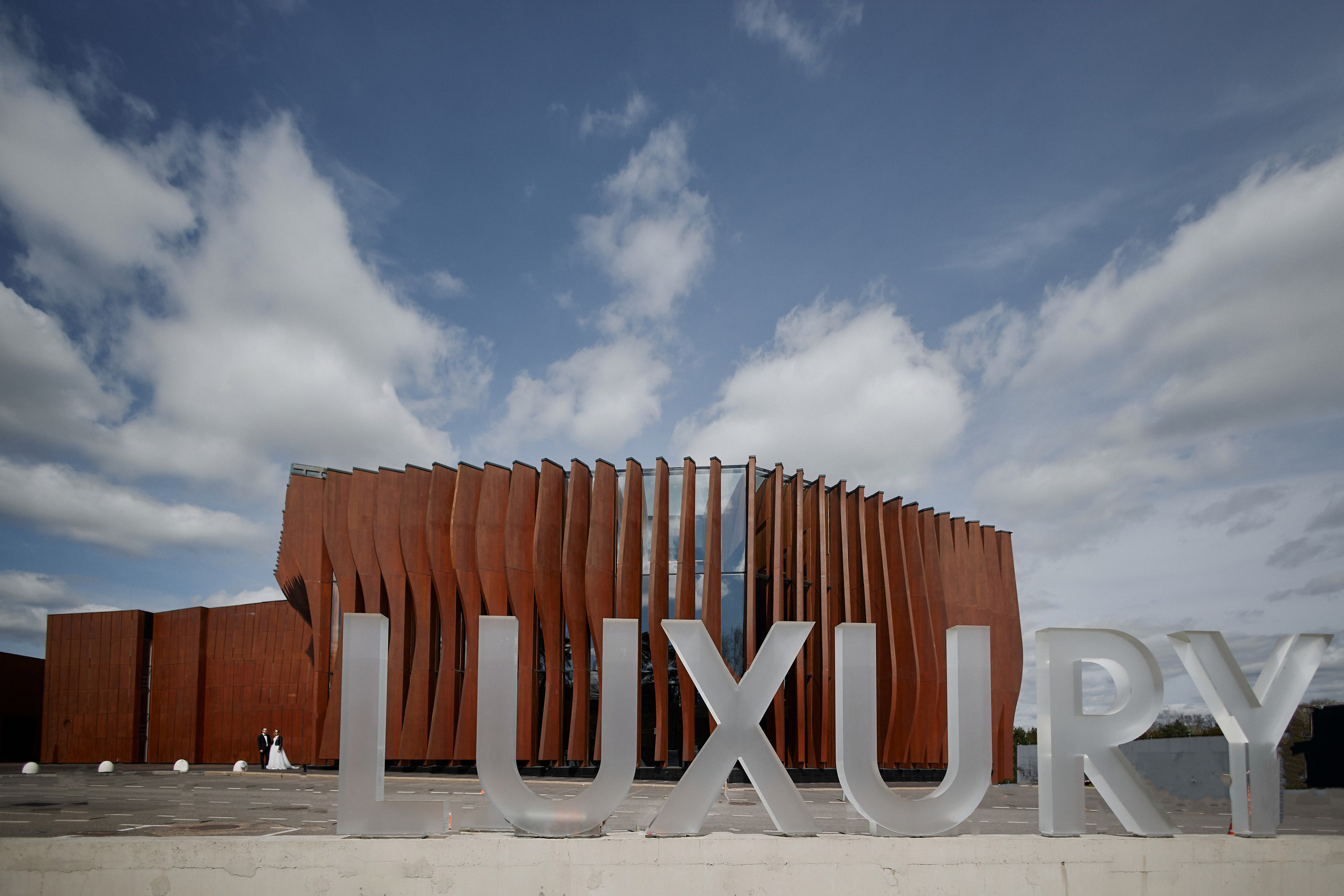 Александра и Андрей. Свадебный фотограф в Москве и Подмосковье
