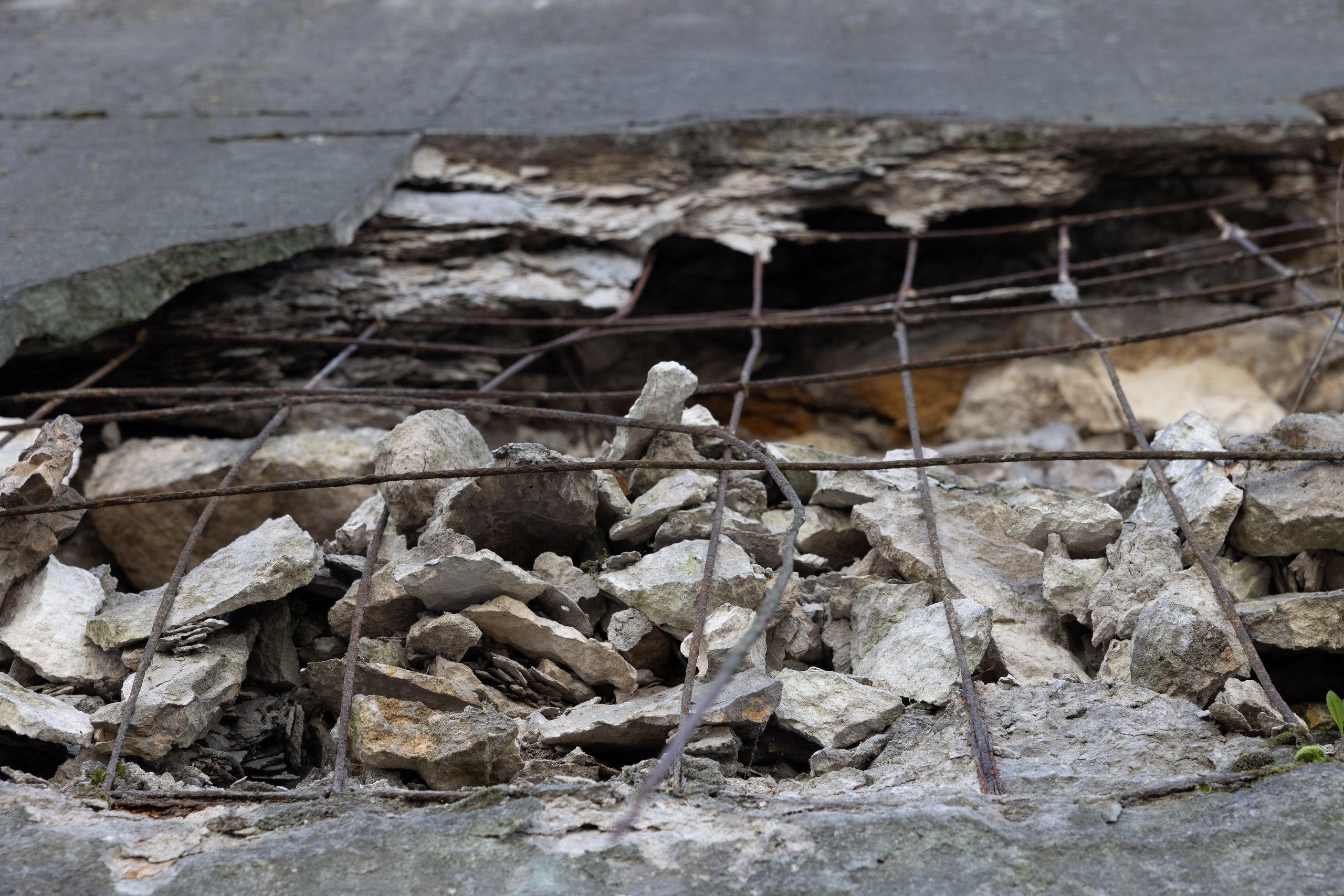 Art prints. Фотограф алина стерхова, алина стерхова фотограф, фотограф москва