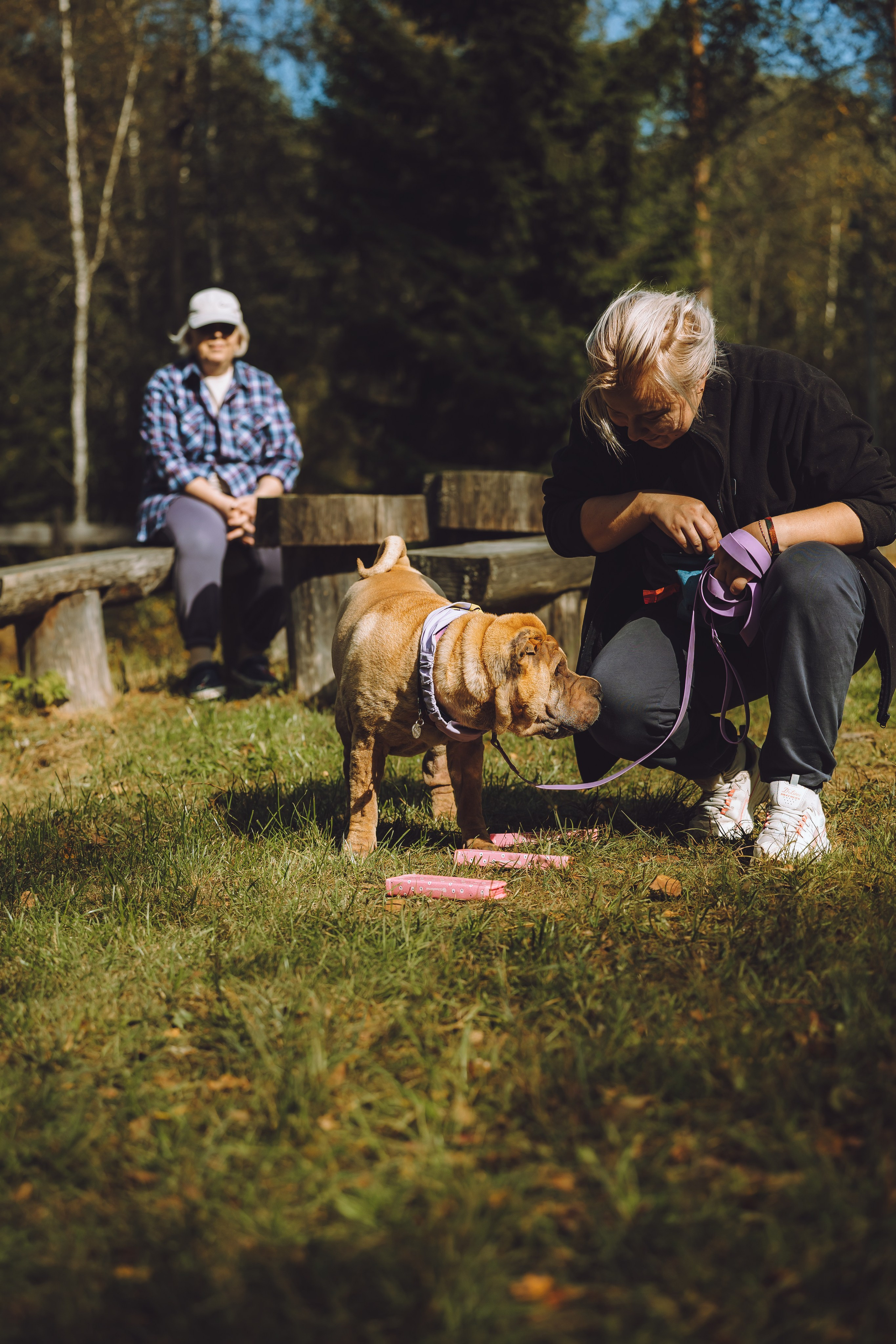 Выездной дог-тренинг от школы «Шерсть имею», Тованово
