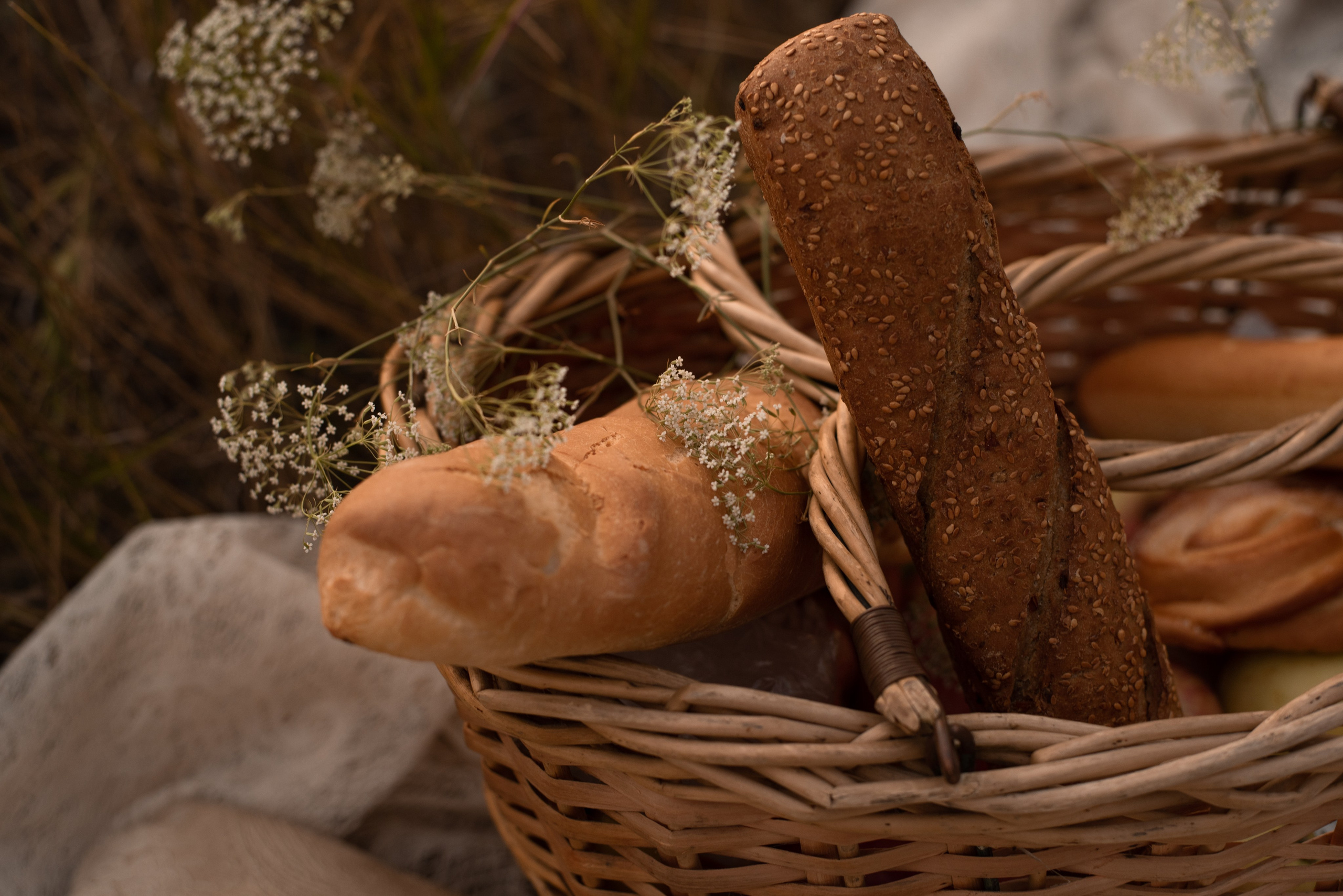 Природа. Главная