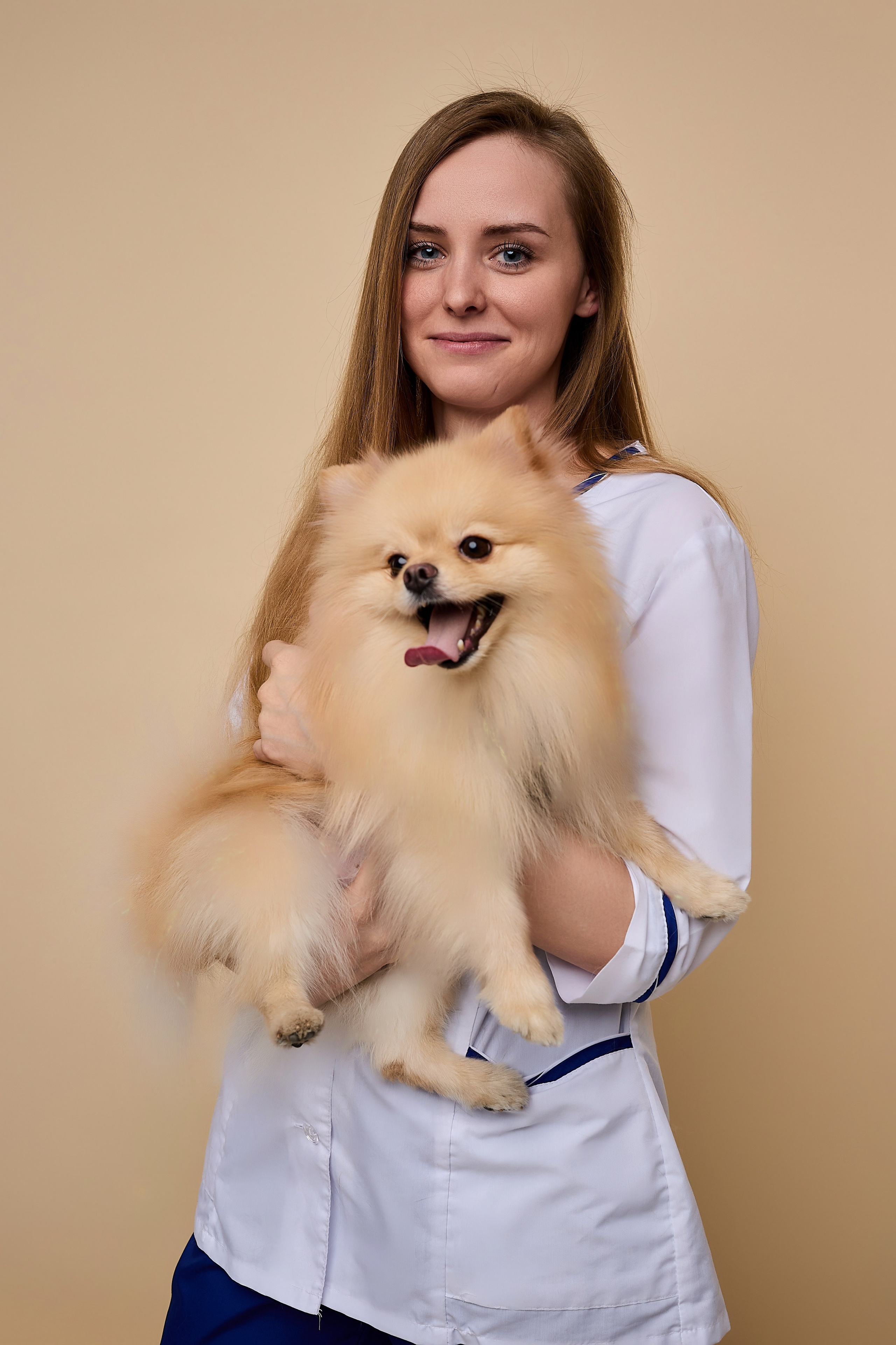 Контент для ветеринарного лендинга правительства Москвы. Фотограф и Видеограф в Москве. Олег Корушев