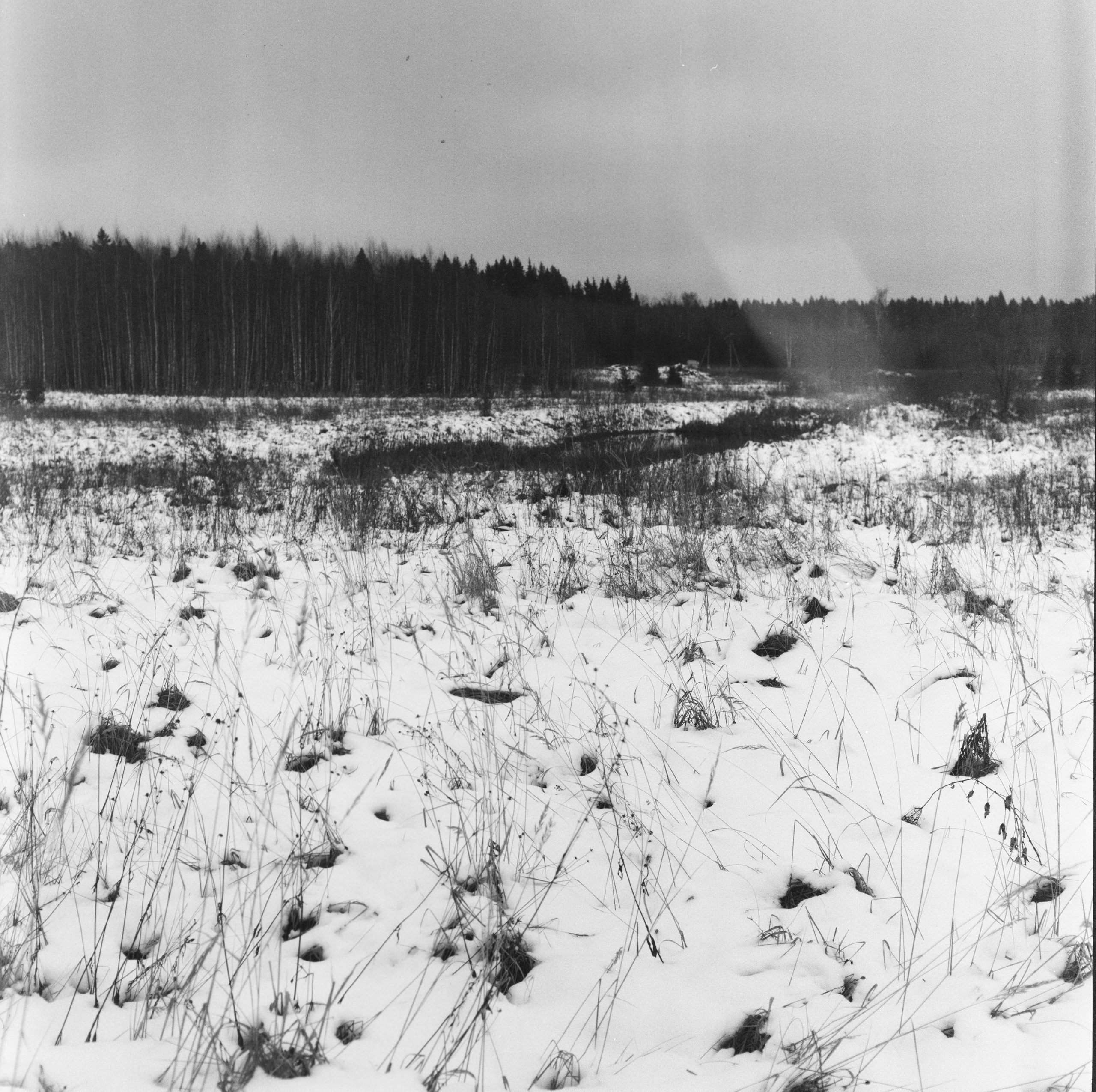 Kowa Super 66 — Kowa 85 mm f/2.8 / SFL Double-X Aerographic 400 (Kodak 2405)