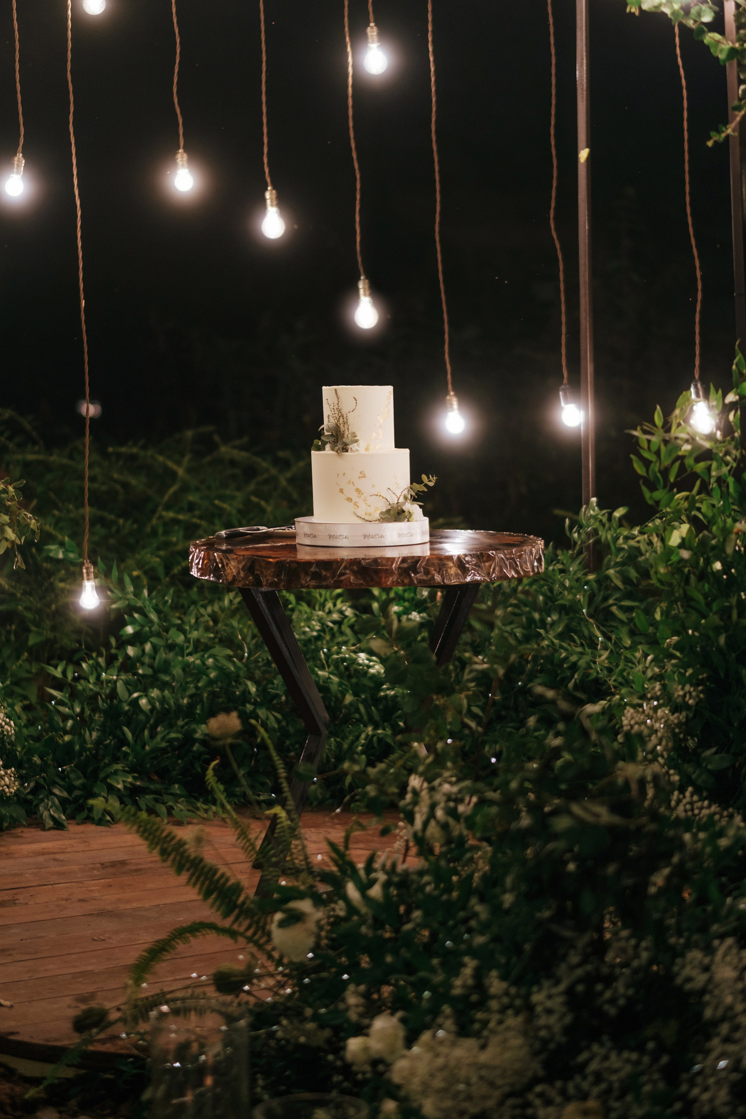 Кот и Дракон. Свадебный Видеограф Фотограф в Сочи