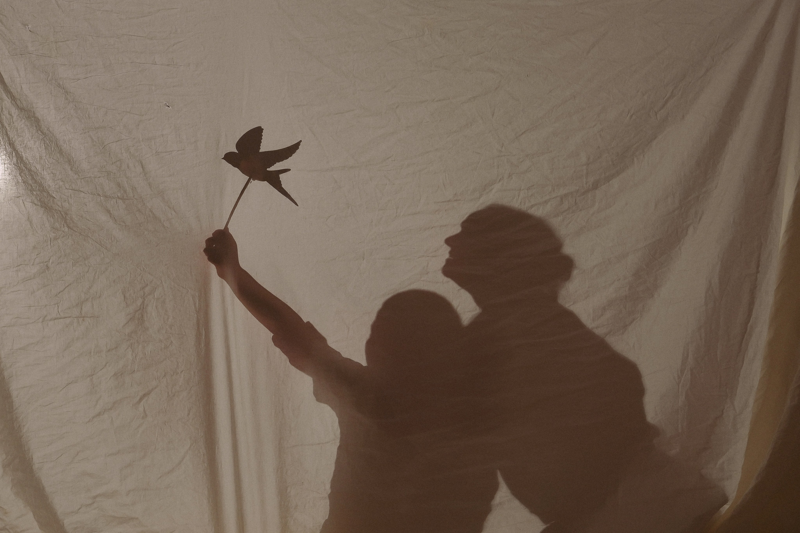 Фотопроект тень. Детский, семейный фотограф: newborn, беременность, годовасие, репортаж. Москва