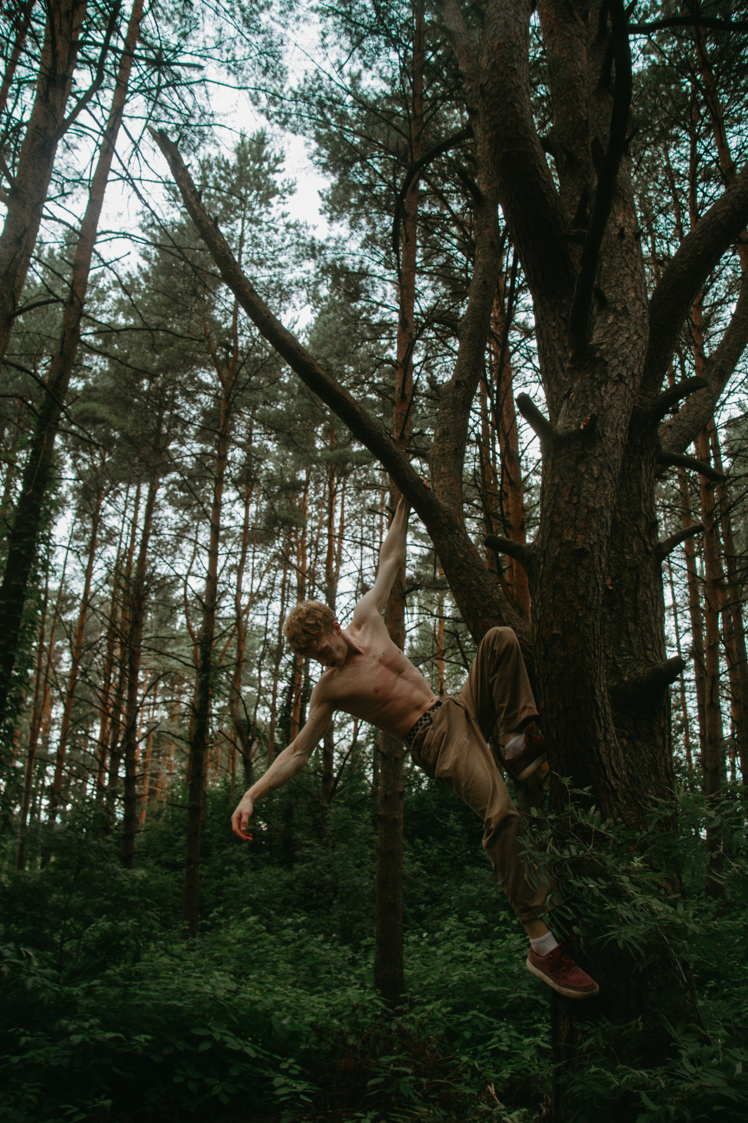 Портрет. Варвара Бабёнышева